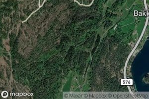 Borsheimselva