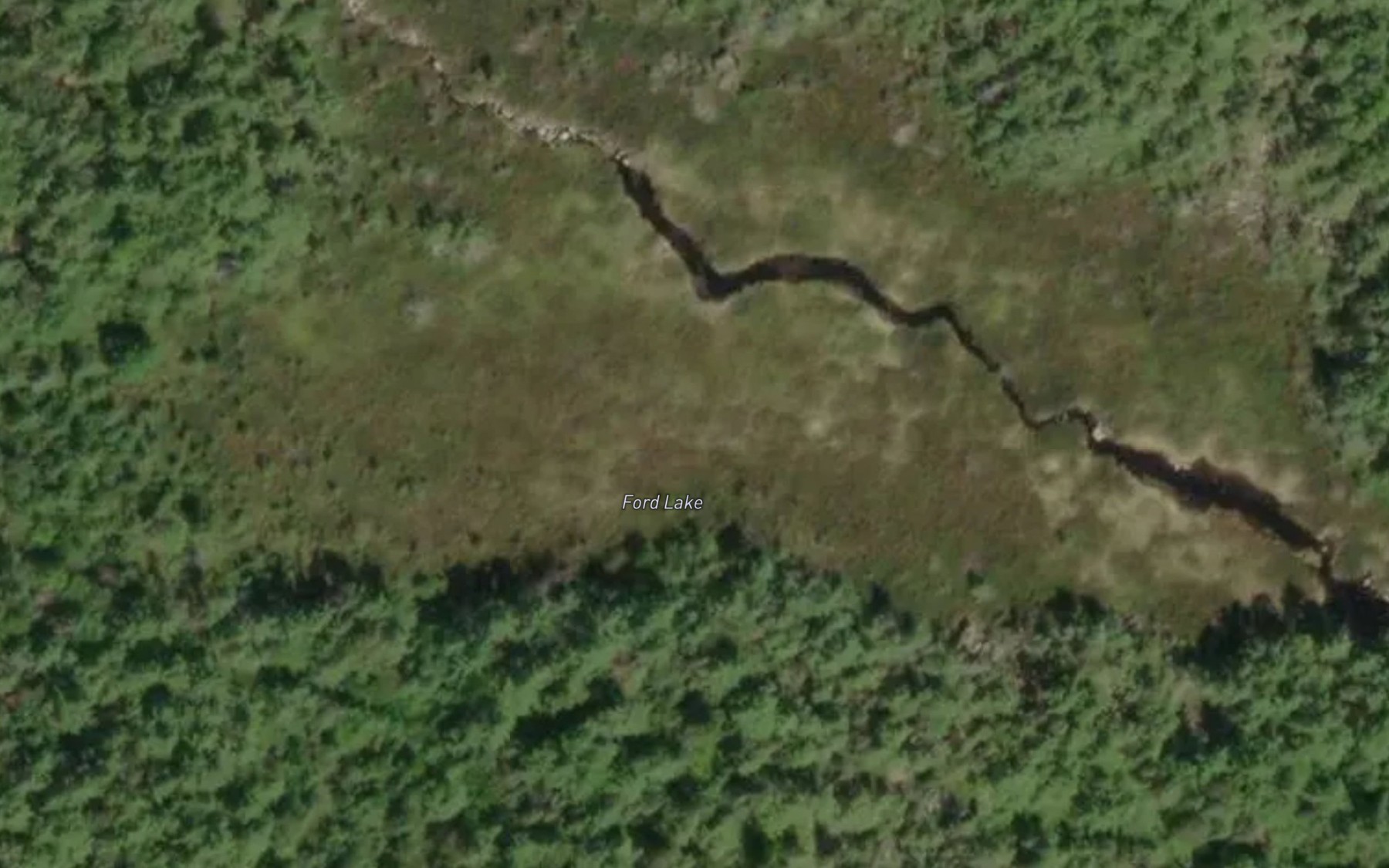 Satellite map of the Ford Lake