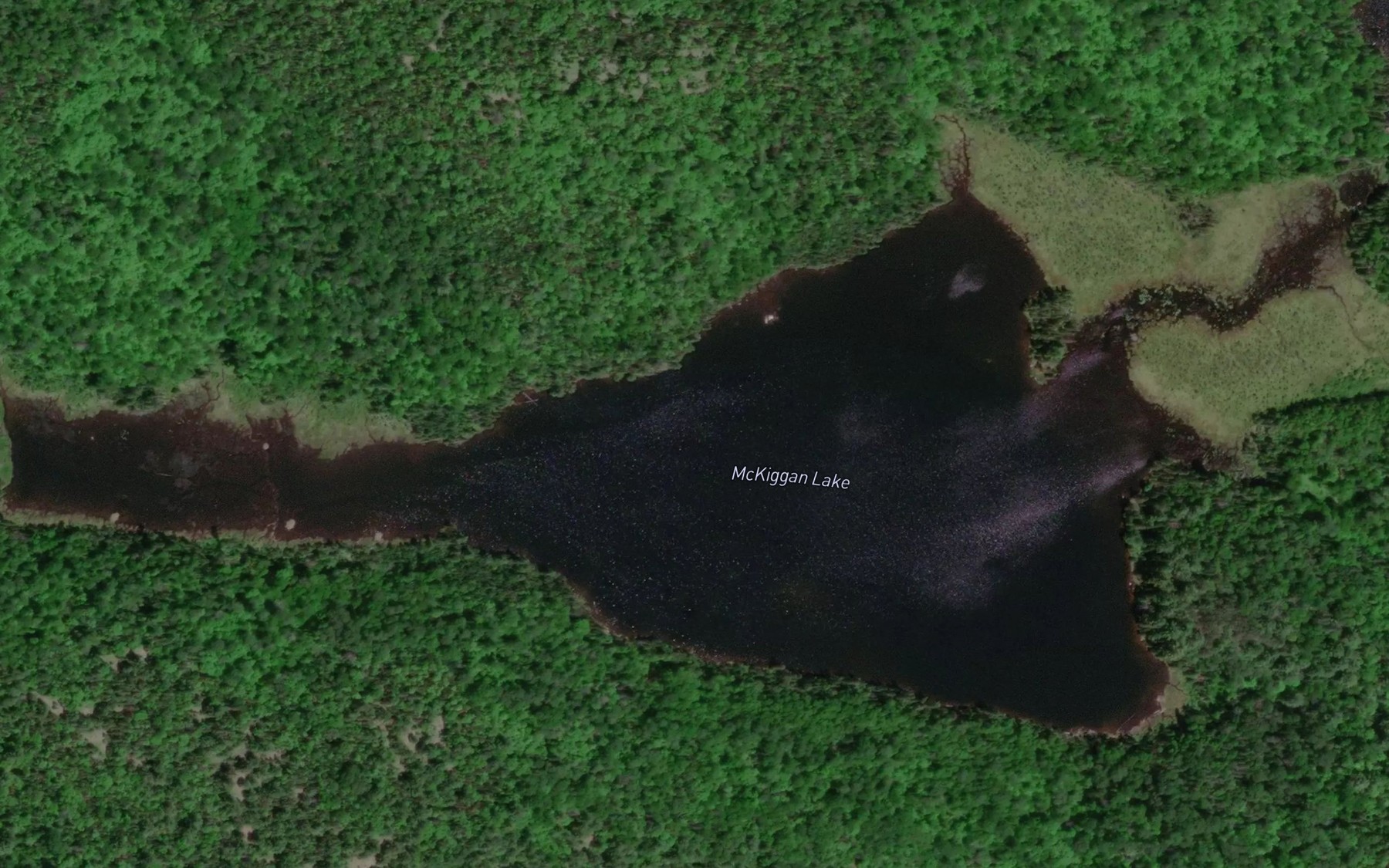 Satellite map of the McKiggan Lake