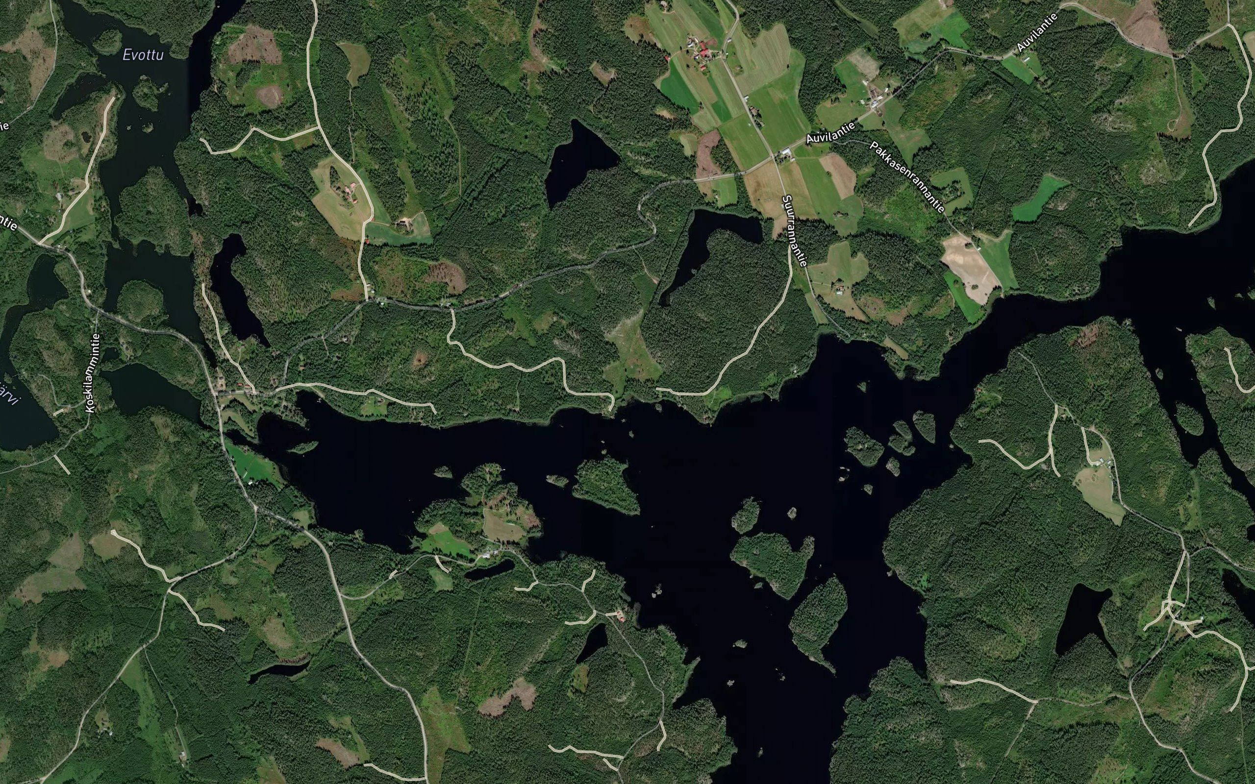 Torisevanoja