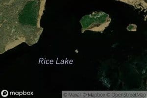 Rice Lake