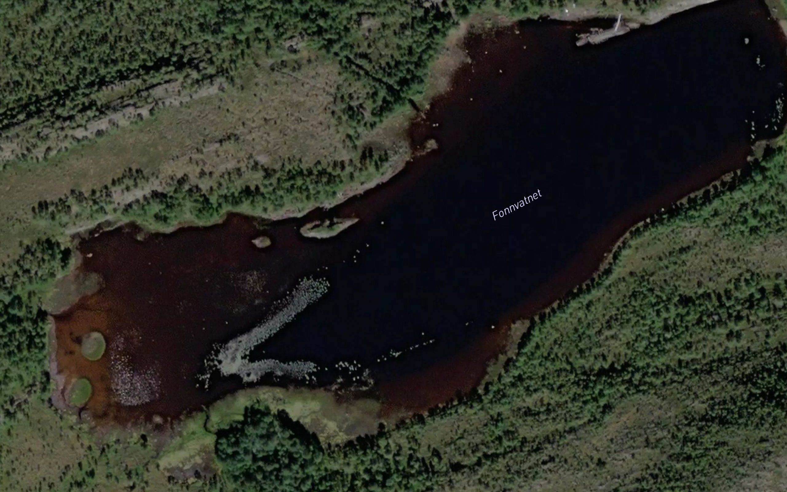 Fonnvatnet