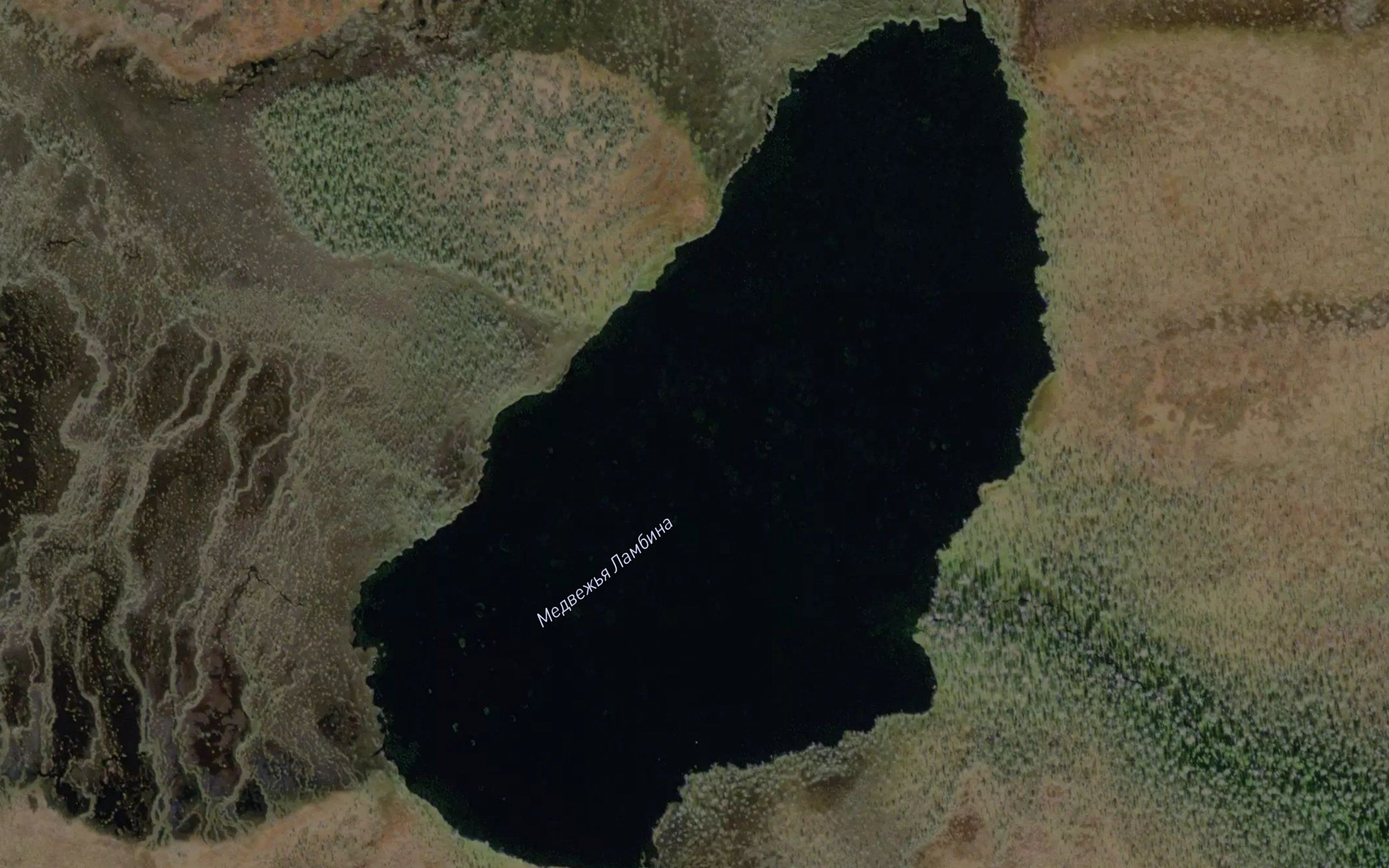 Ozero Medvezh'ya Lambina