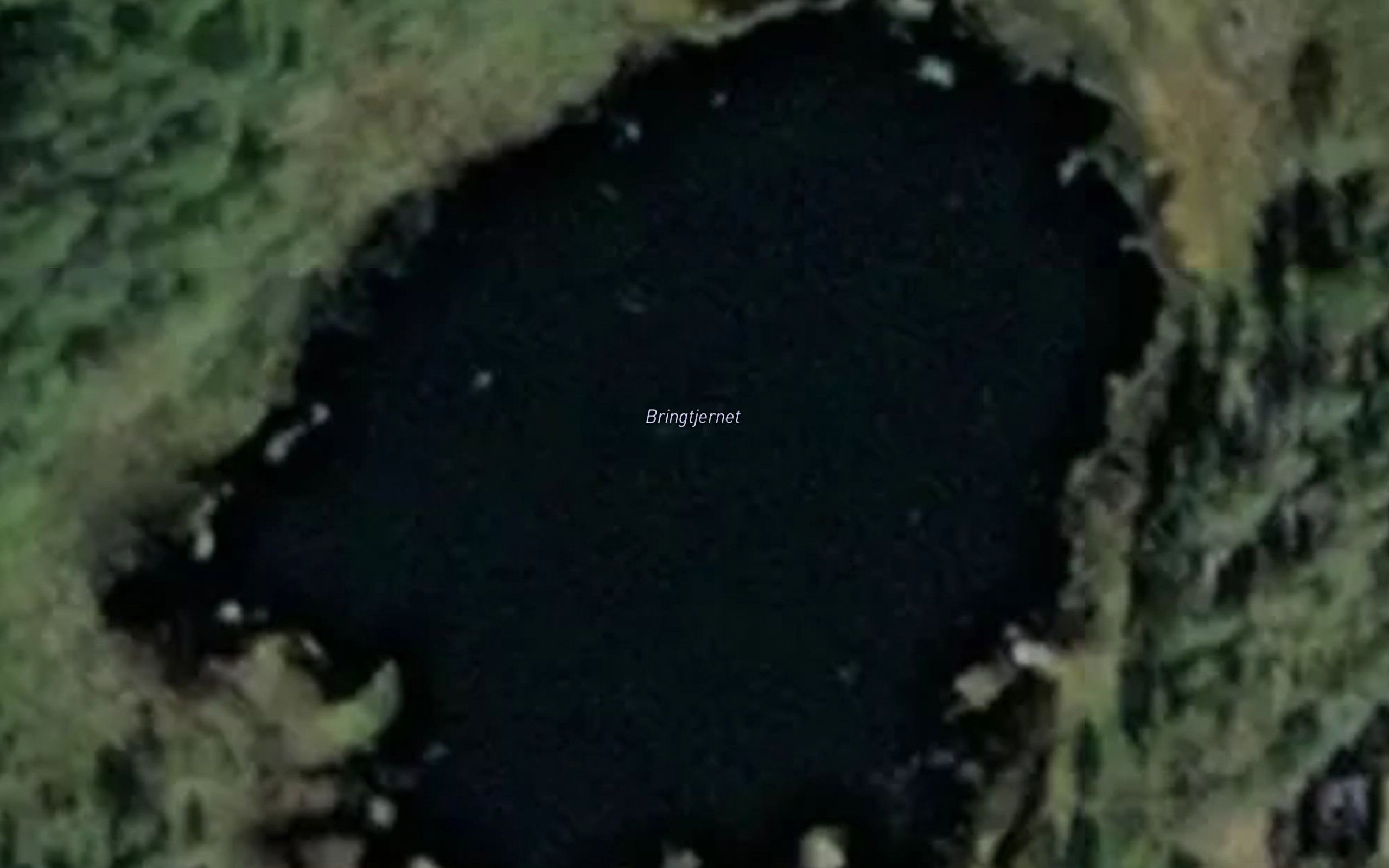 Bringtjernet