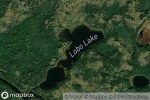 Lobo Lake