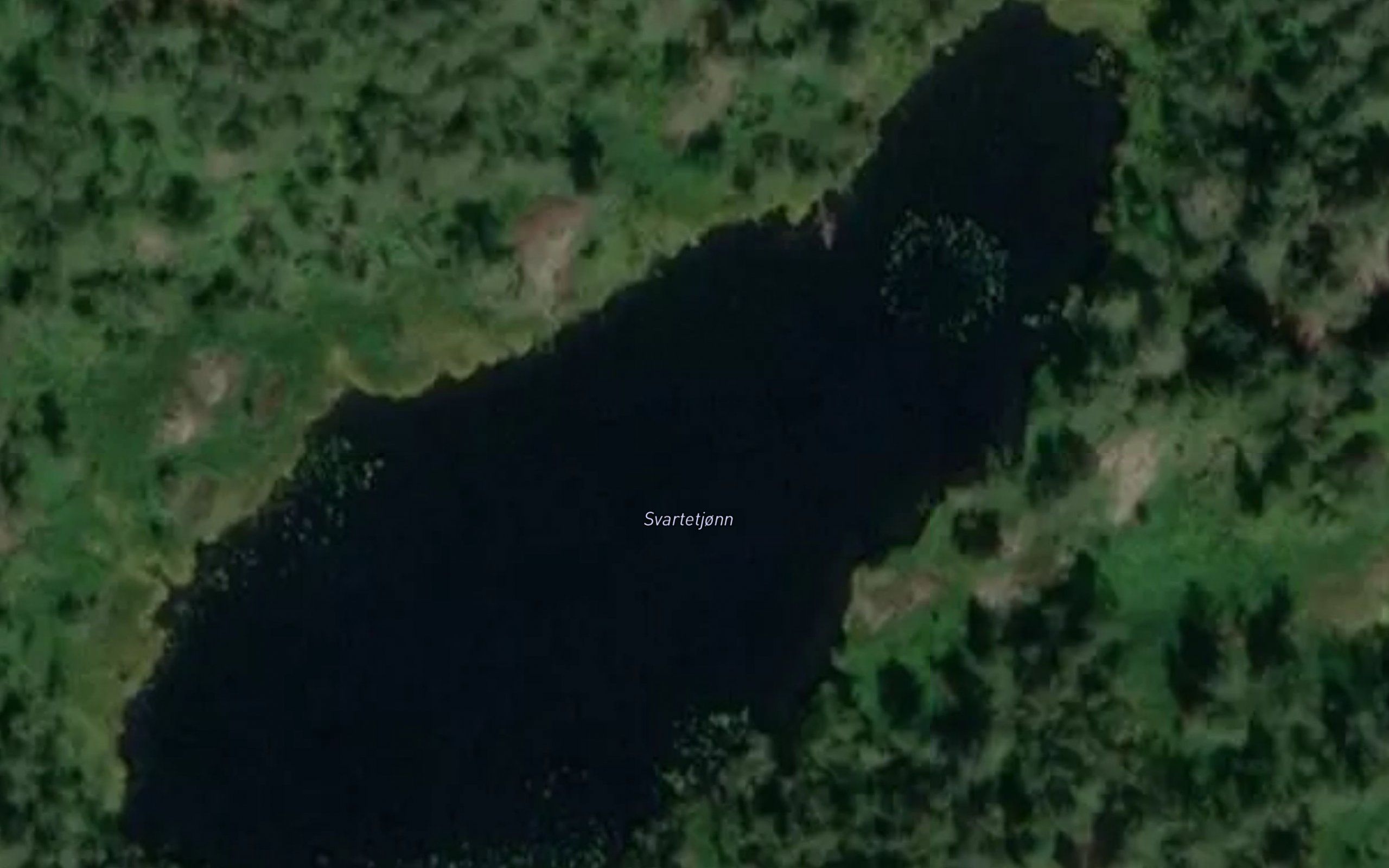 Svartetjonn