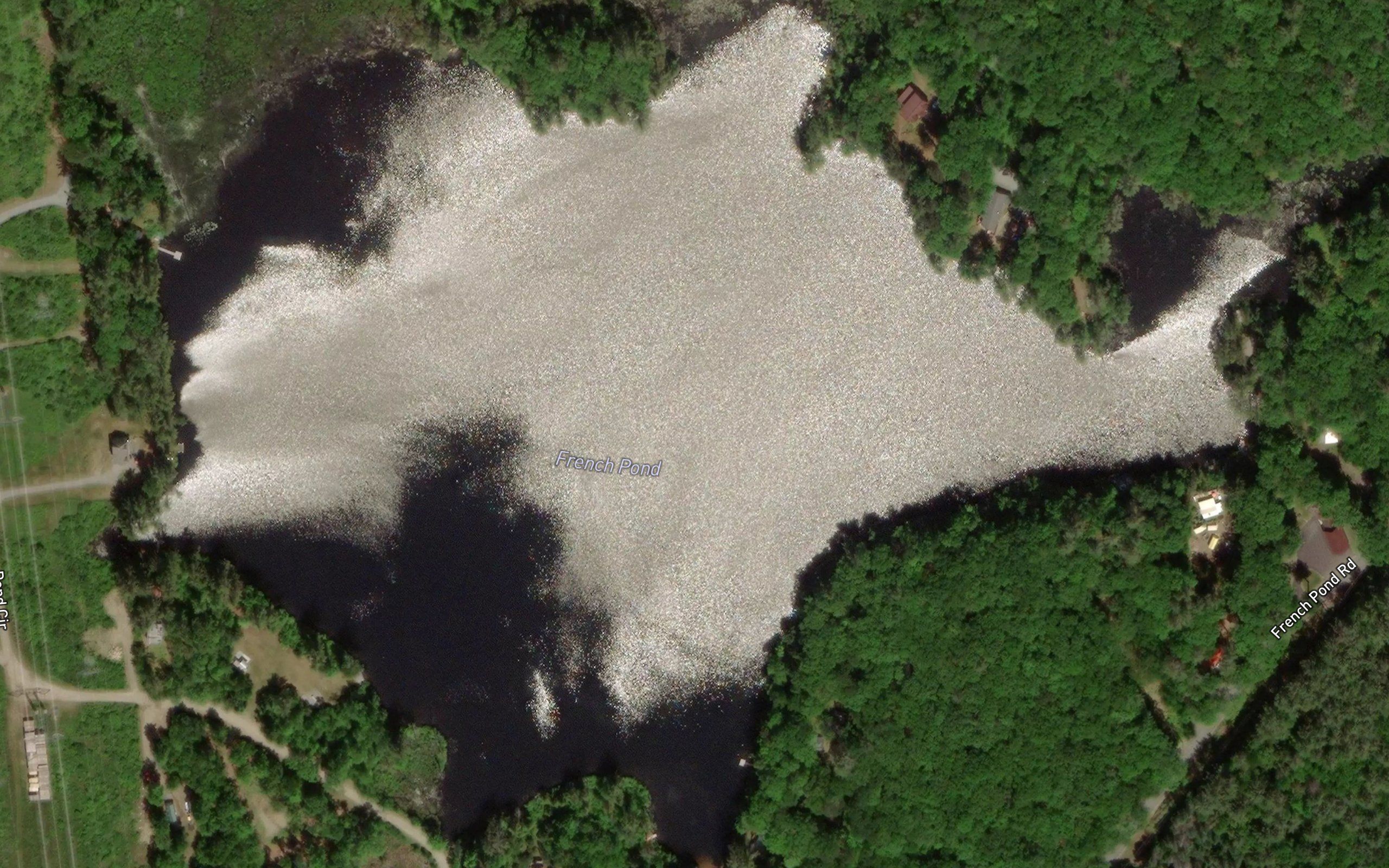 French Pond