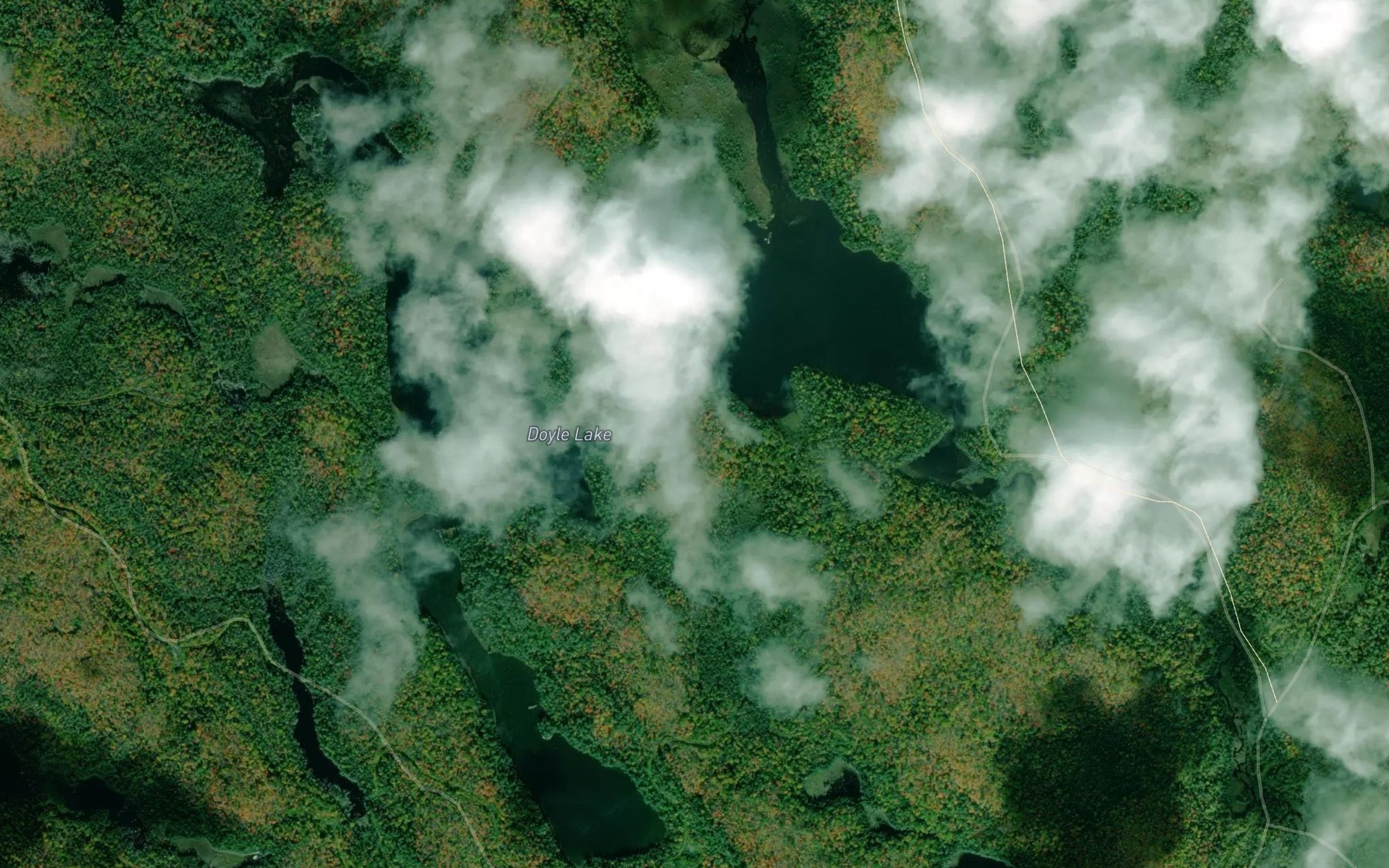 Satellite map of the Doyle Lake