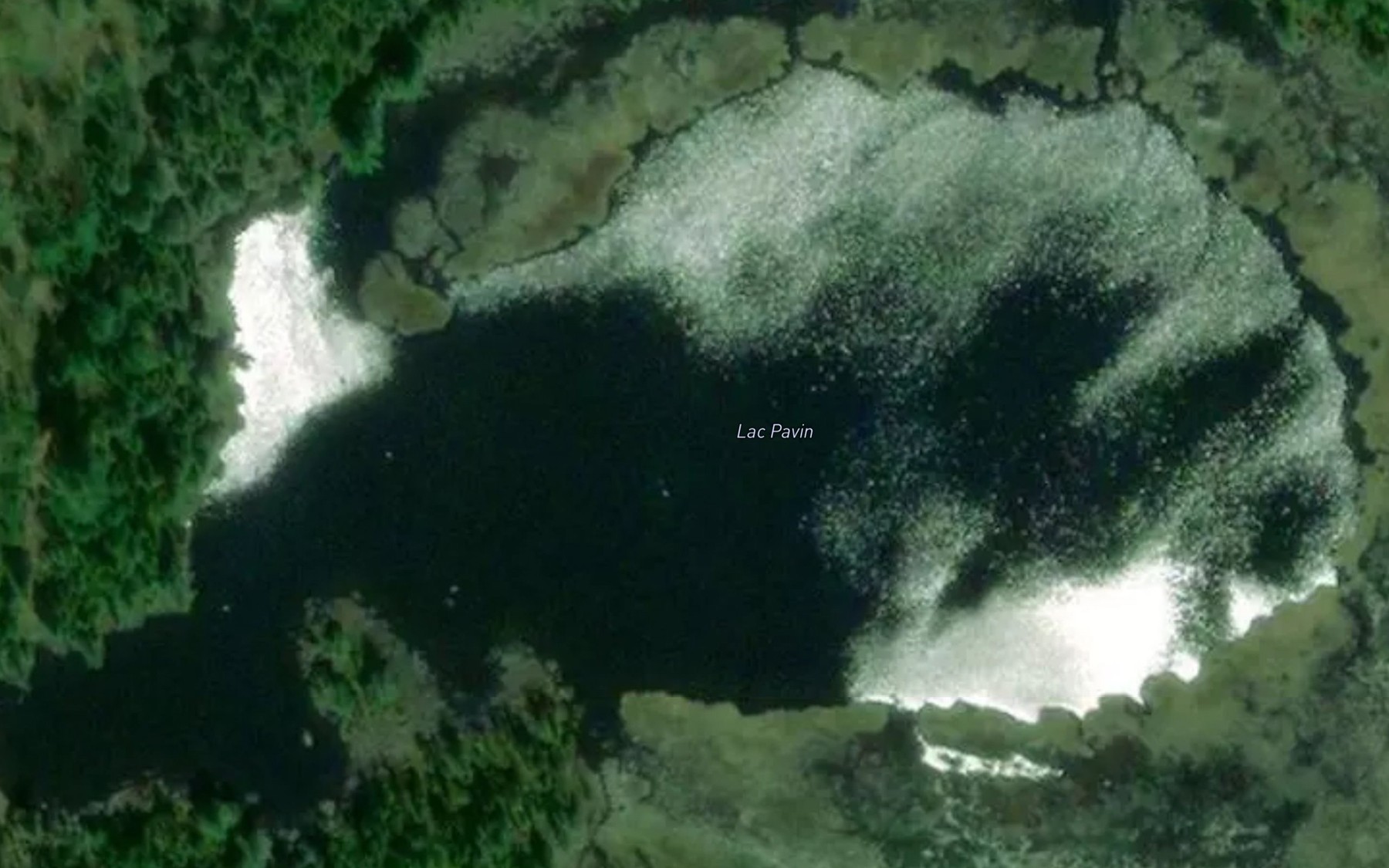 Satellite map of the Lac Pavin