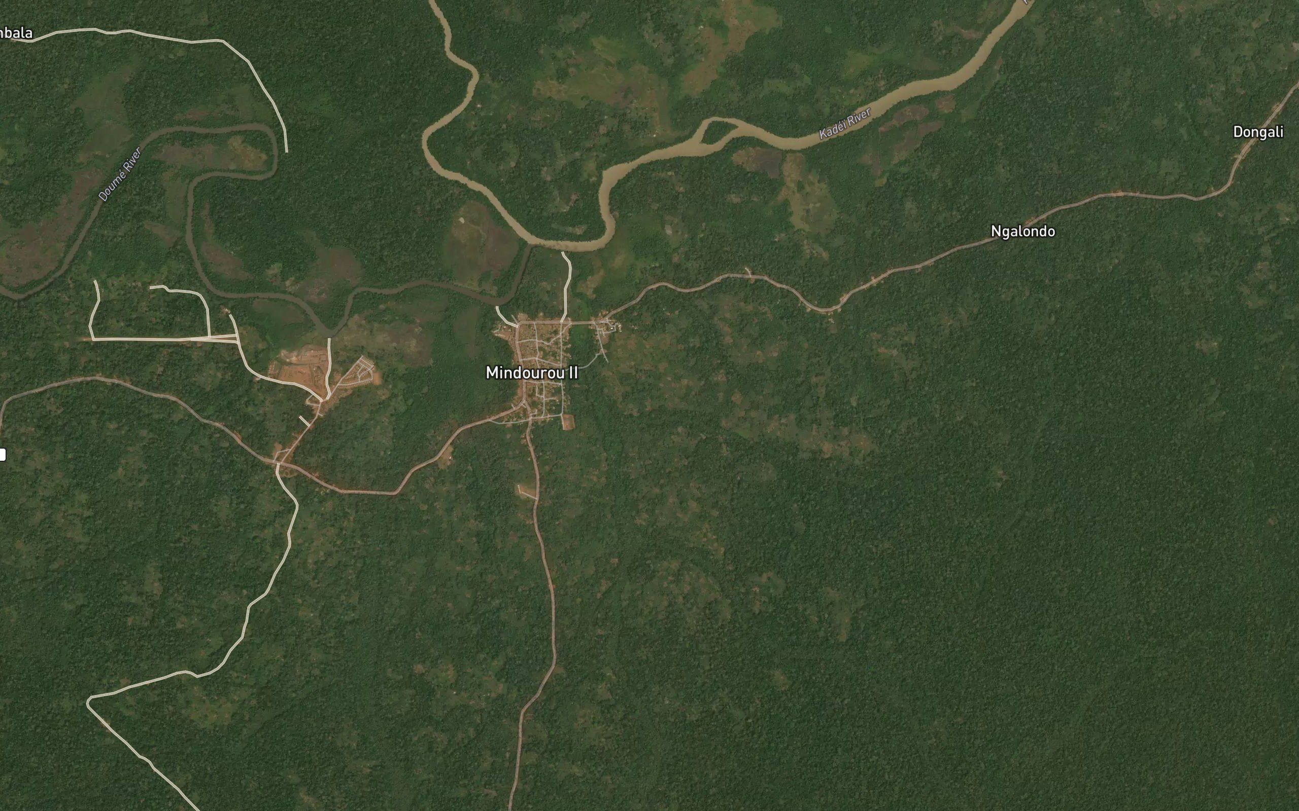Ngonki