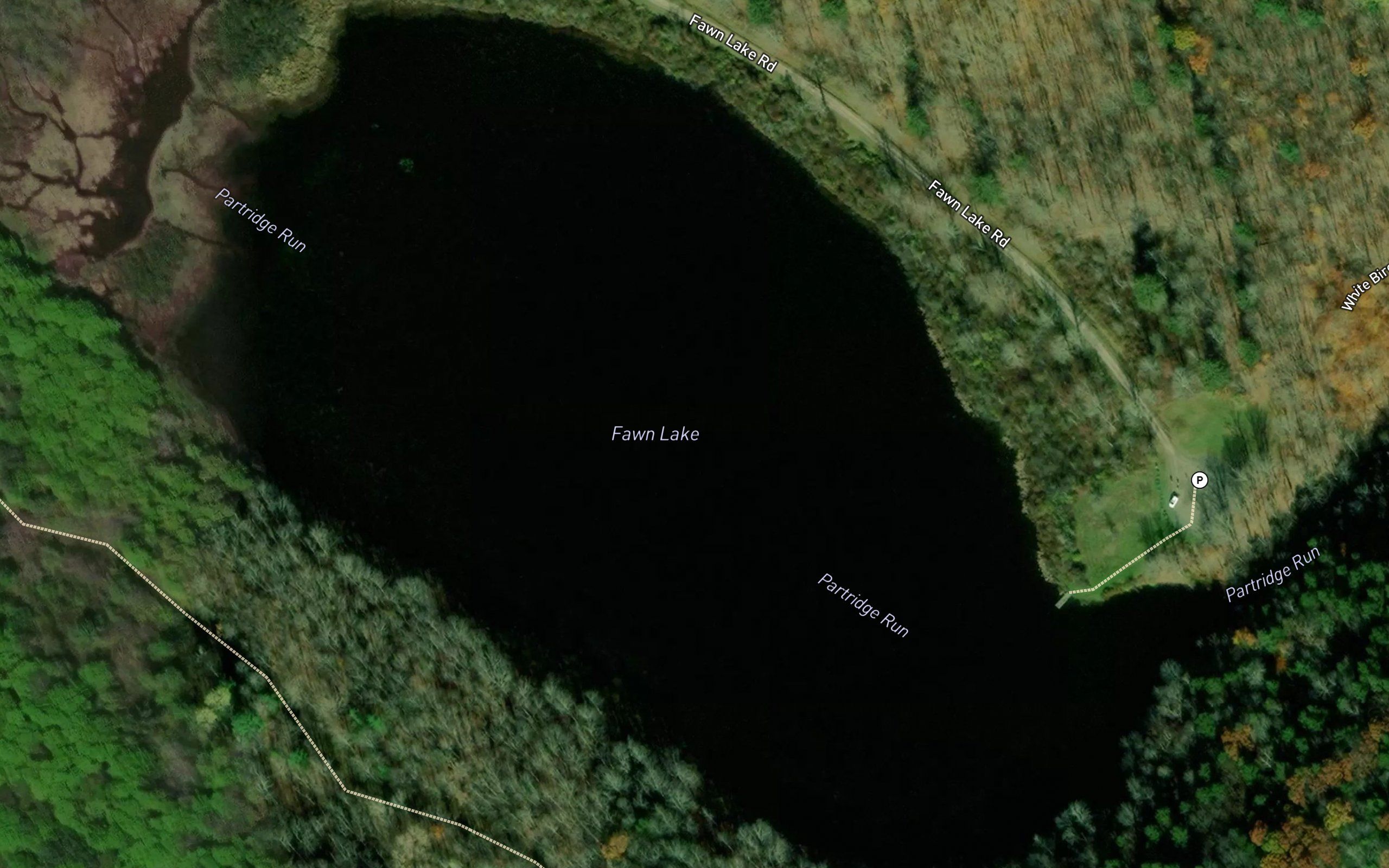 Fawn Lake