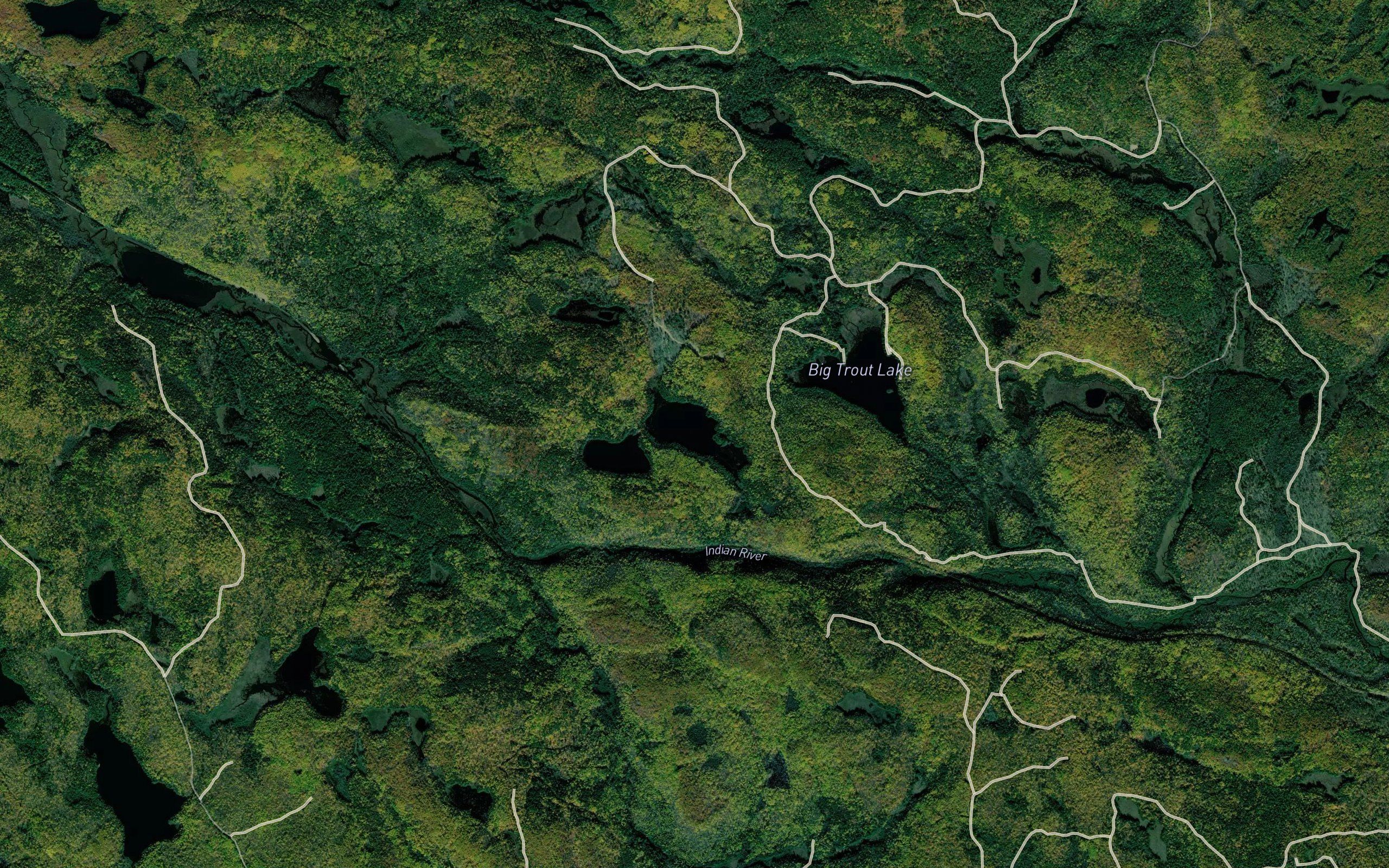 Wolf Lake