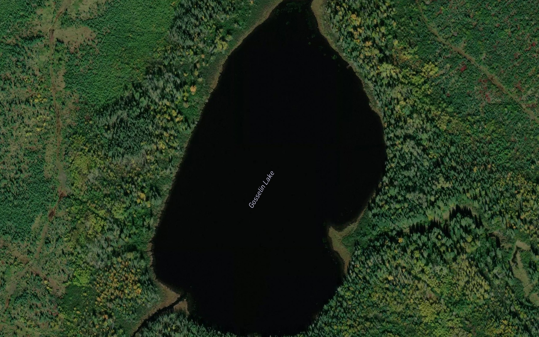 Satellite map of the Gosselin Lake