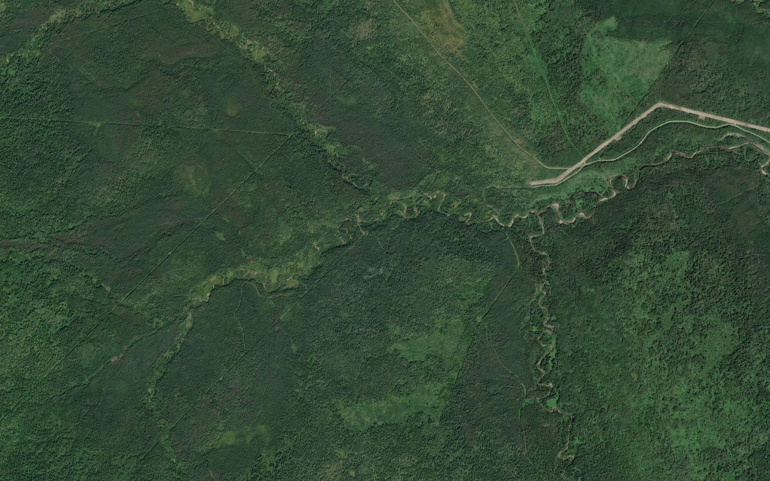 Ruddy Creek