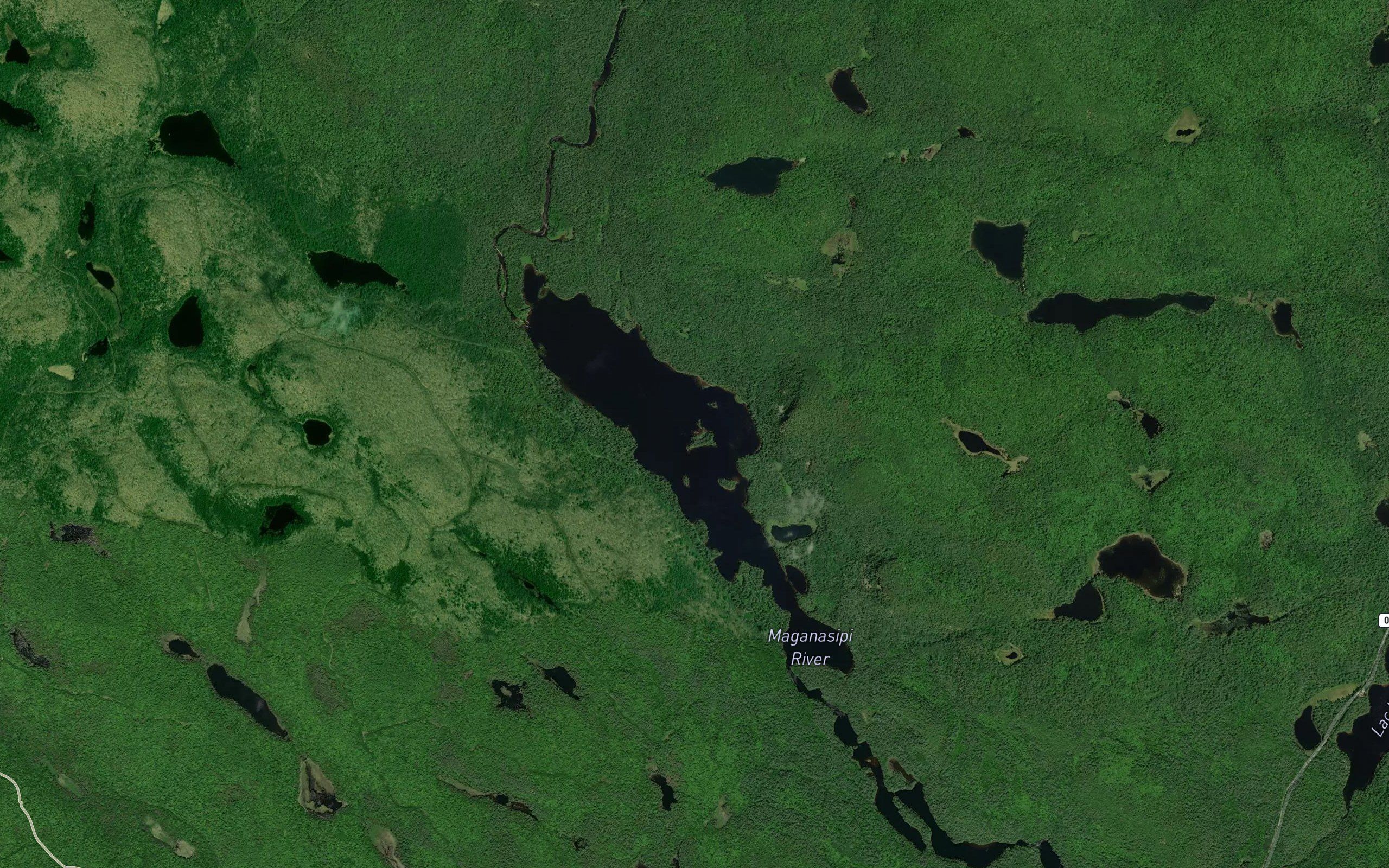 Lac Johnson