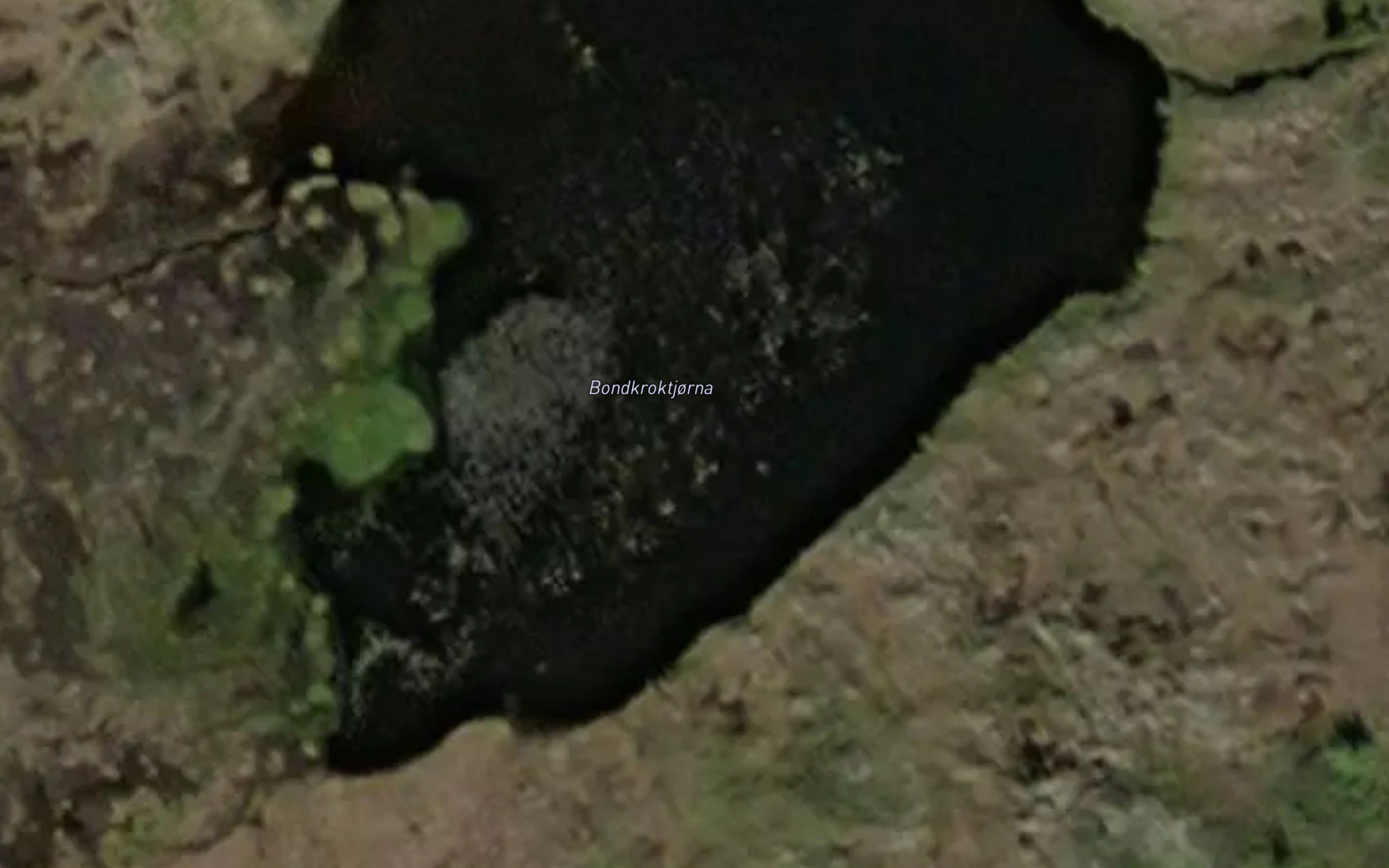 Bondkroktjorna