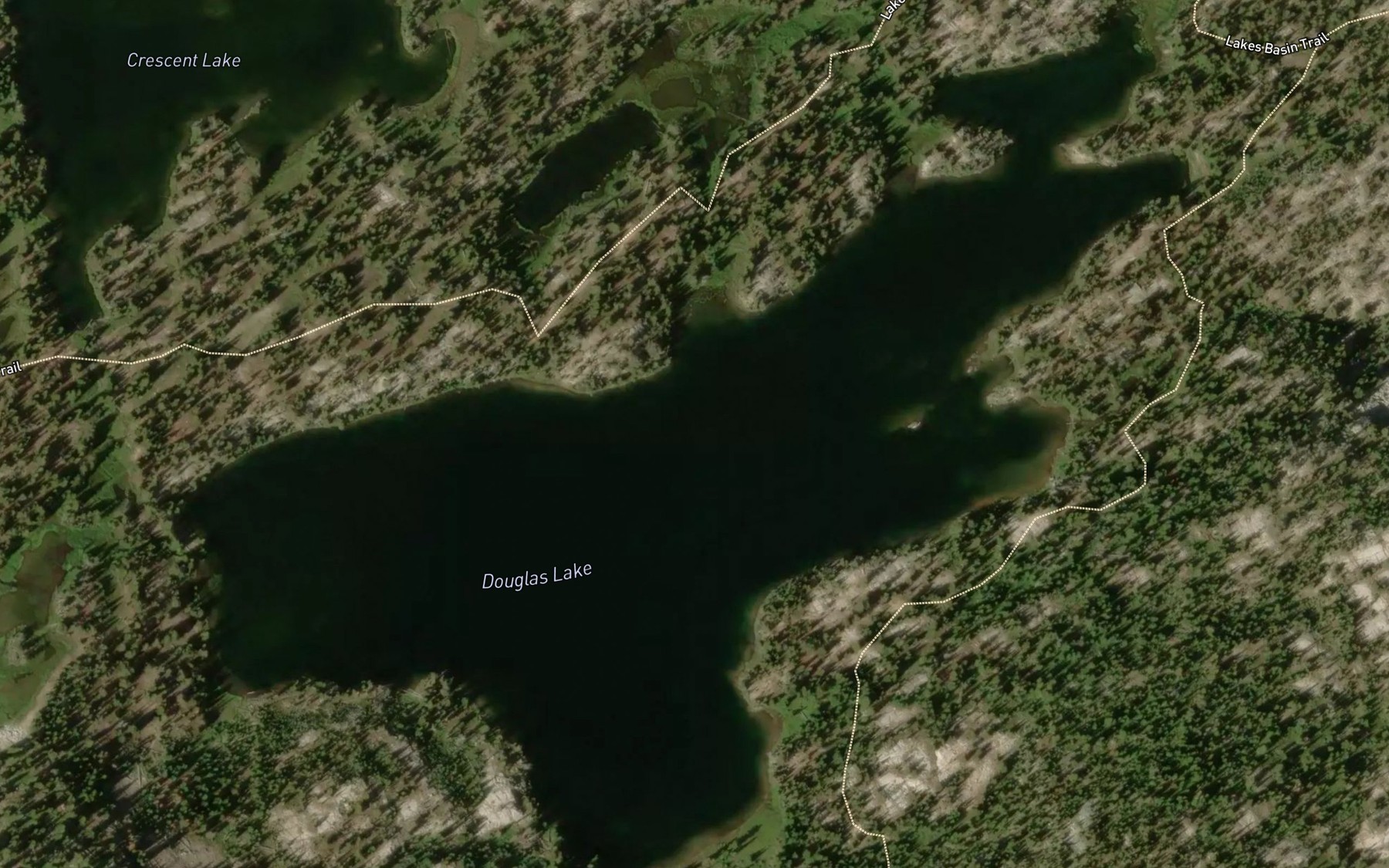 Satellite map of the Douglas Lake