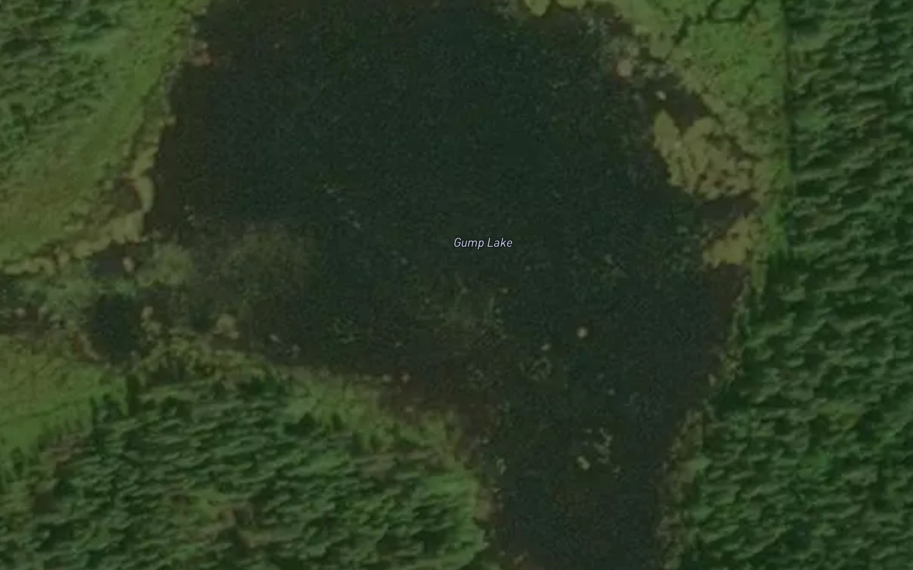Satellite map of the Gump Lake