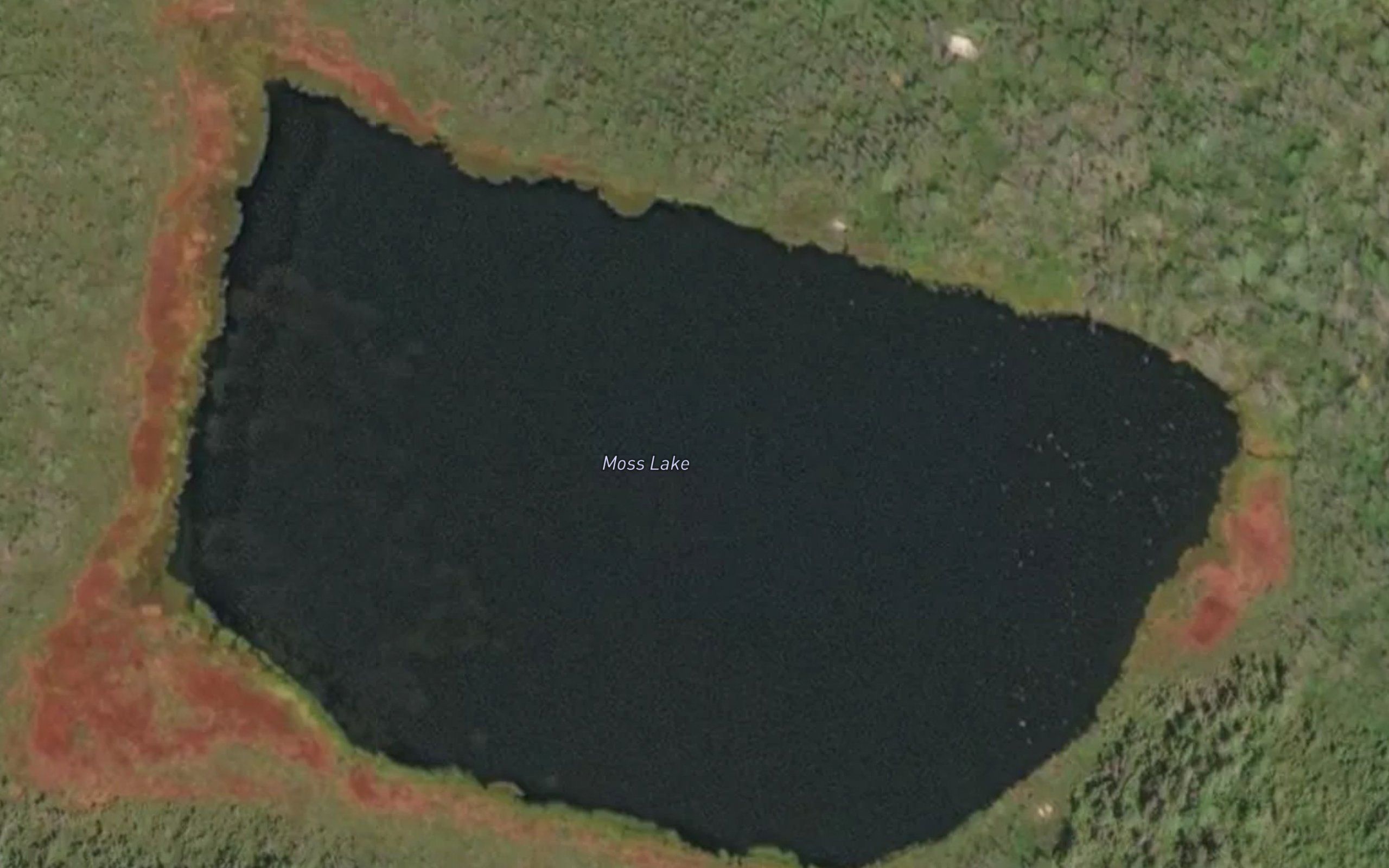 Moss Lake