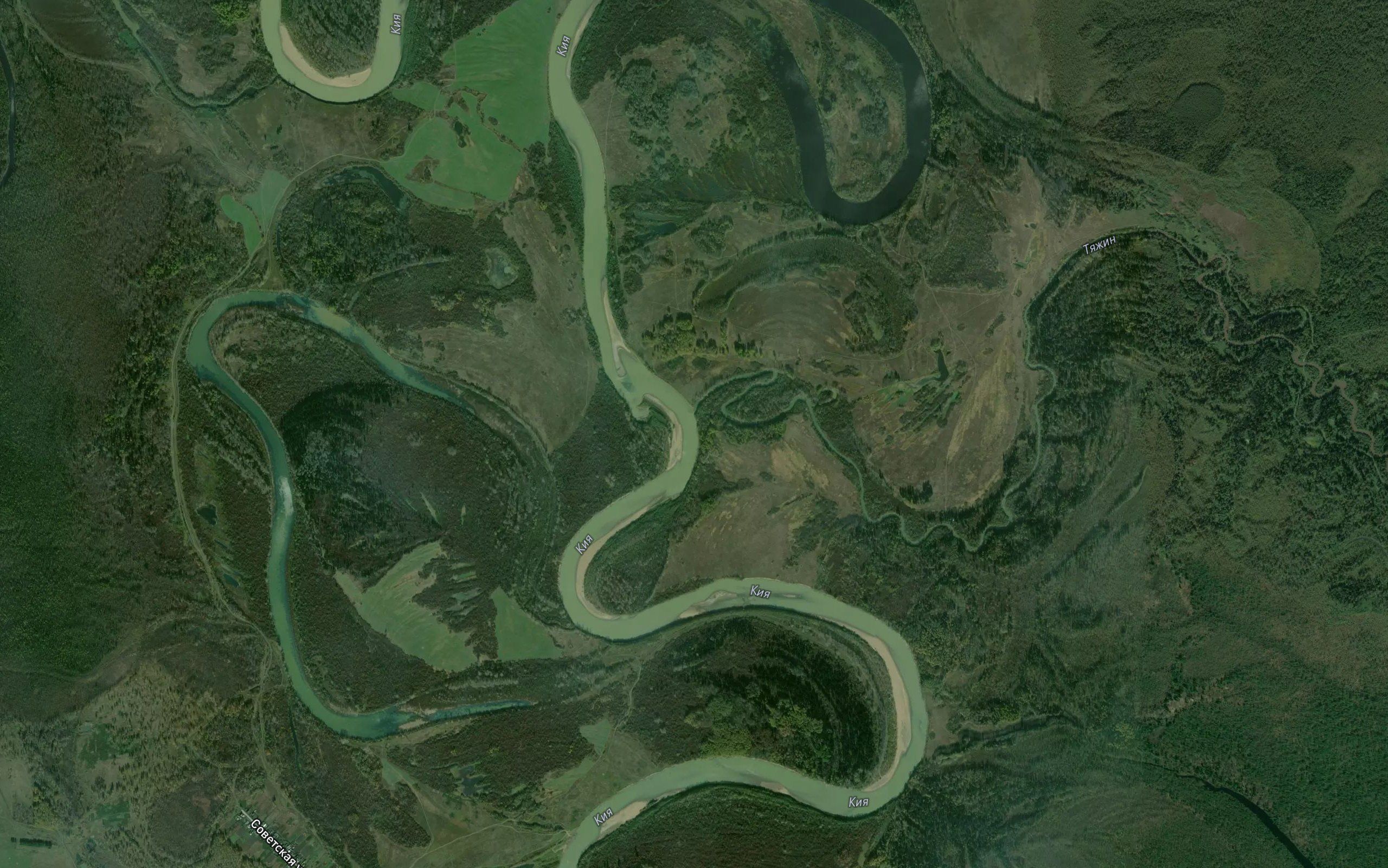 Tyazhin