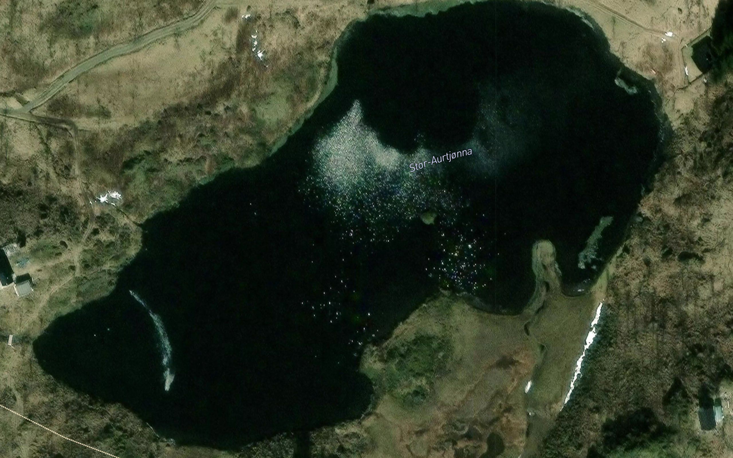 Aurtjorna