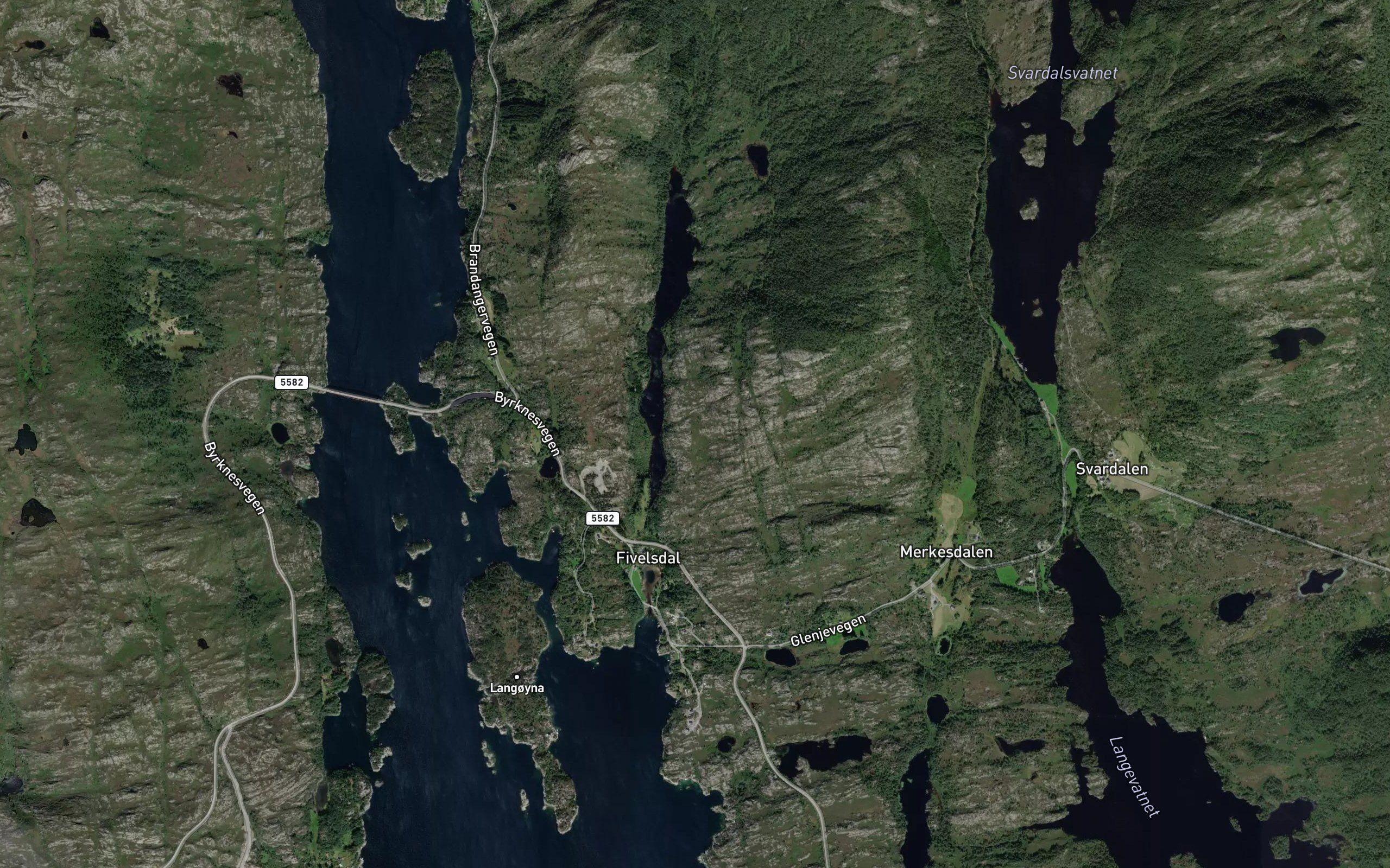 Gravstigtjorna