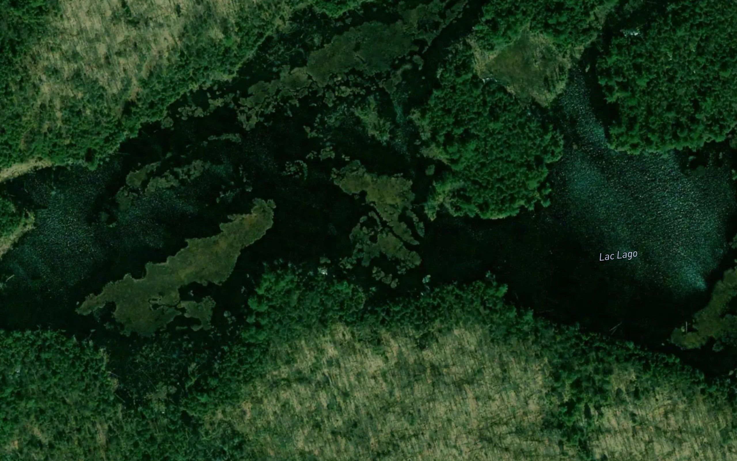 Lac Lago