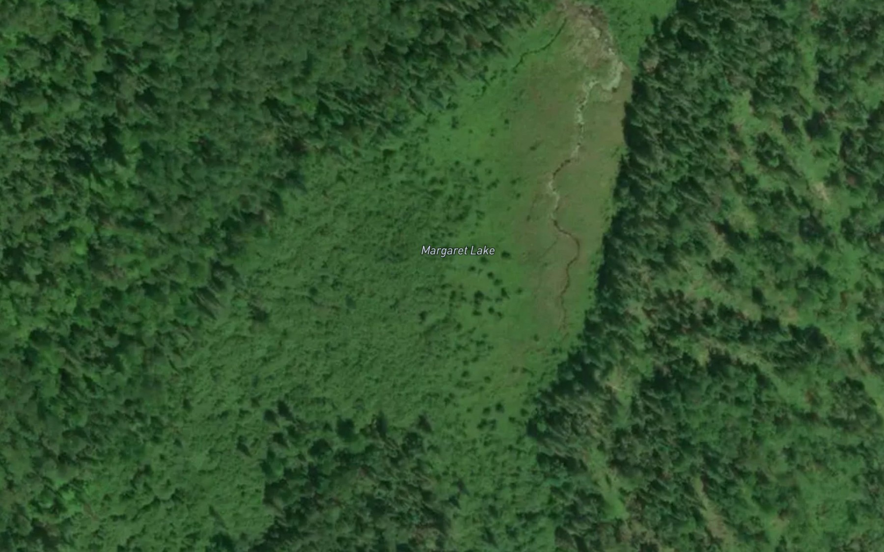 Satellite map of the Margaret Lake