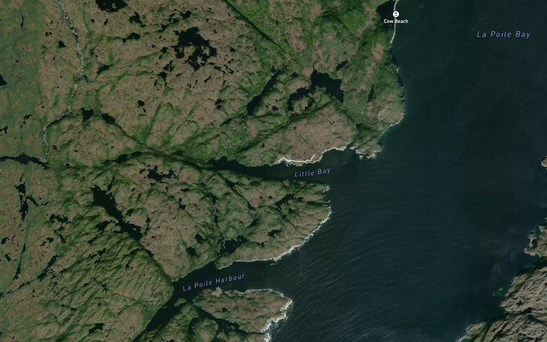 Satellite map of the Little Bay