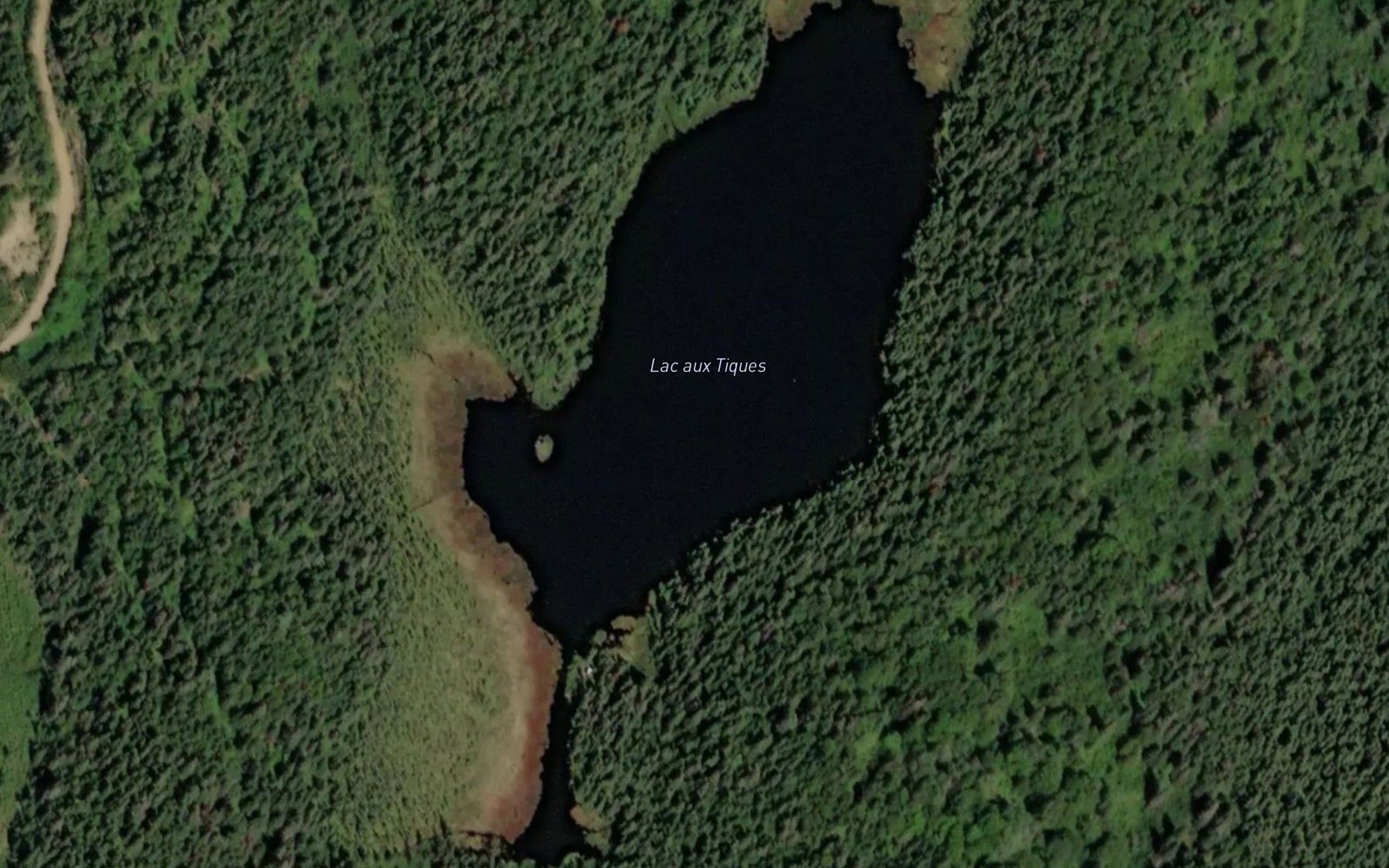 Satellite map of the Lac aux Tiques