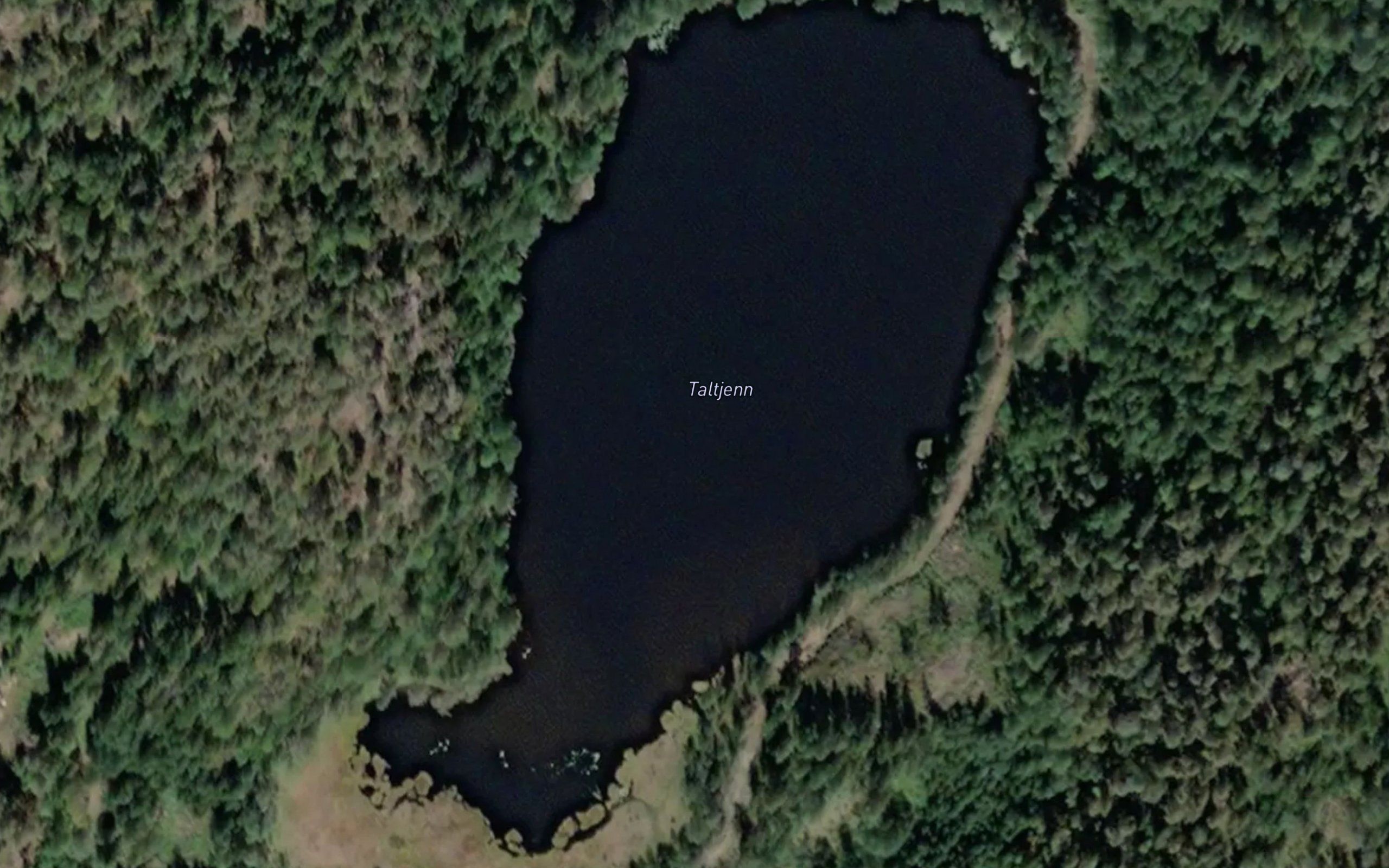 Taltjern