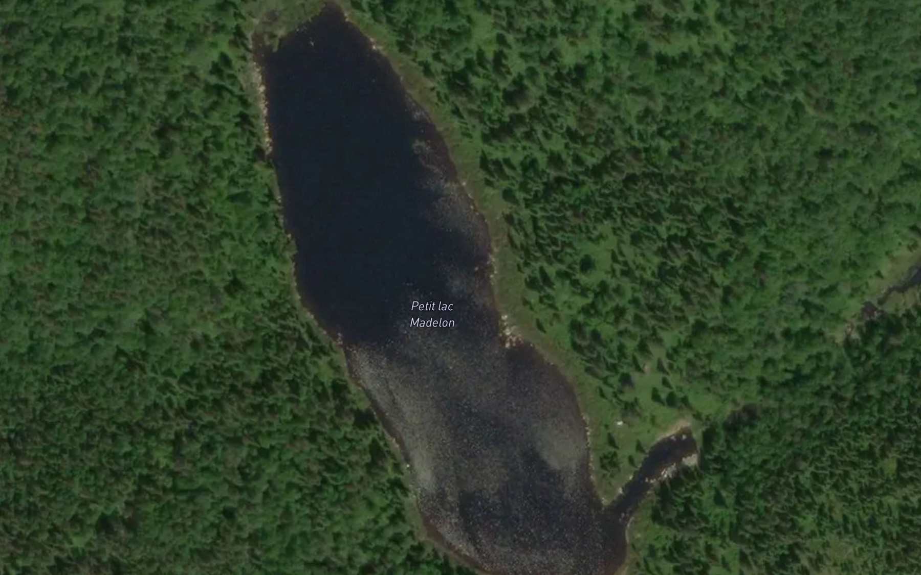 Satellite map of the Petit lac Madelon