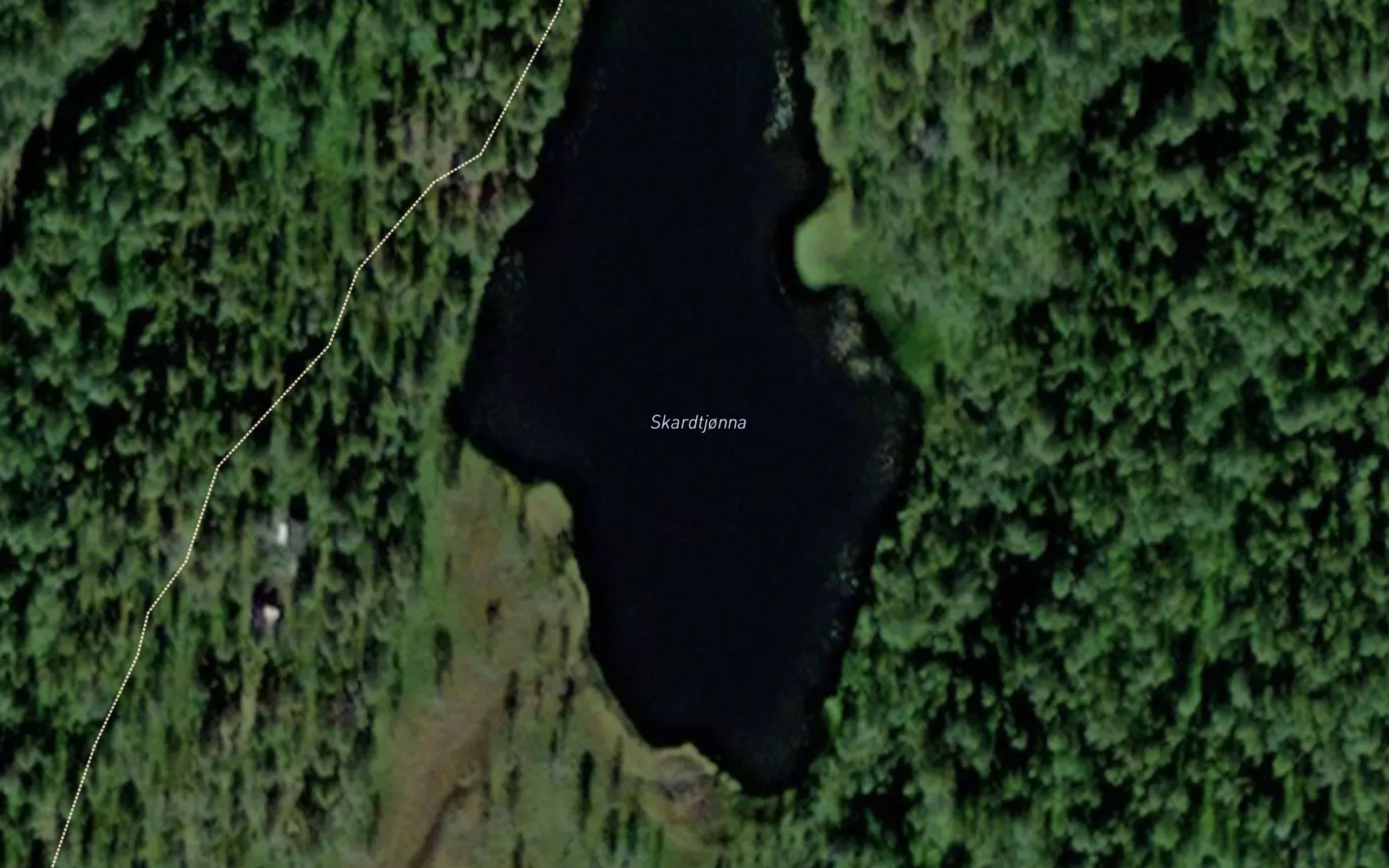 Skardtjorna