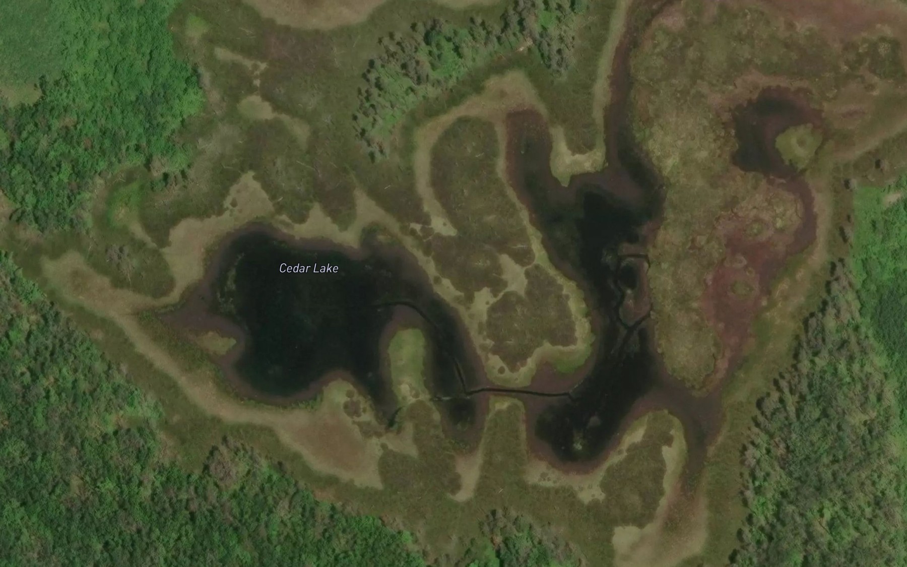 Satellite map of the Cedar Lake
