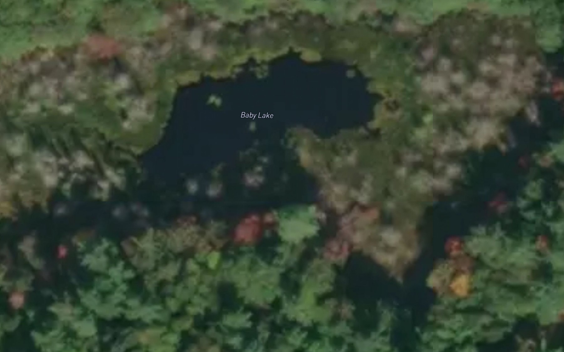 Satellite map of the Baby Lake