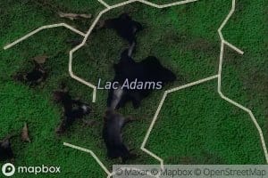 Lac Adams