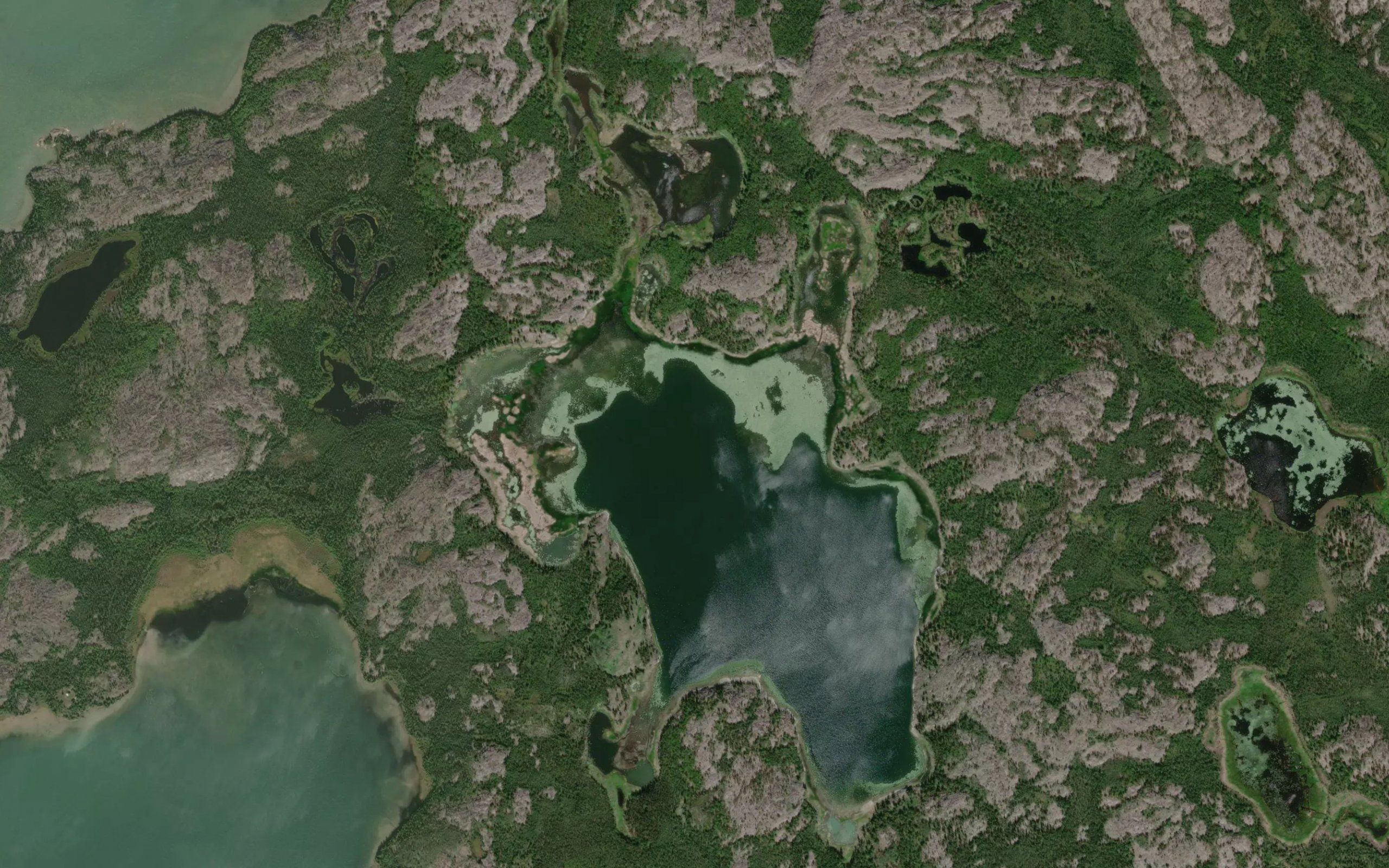 Willow Lake