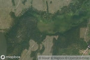 Tibble Creek