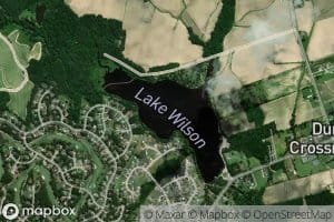 Lake Wilson