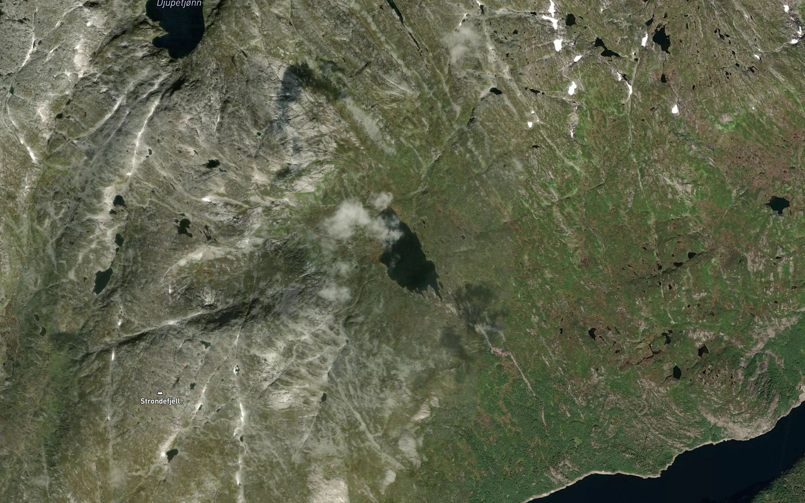 Tragumstjorni