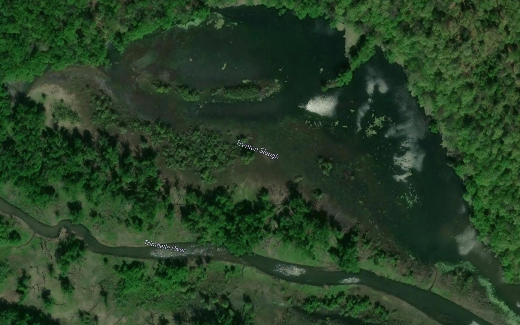 Satellite map of the Trenton Slough
