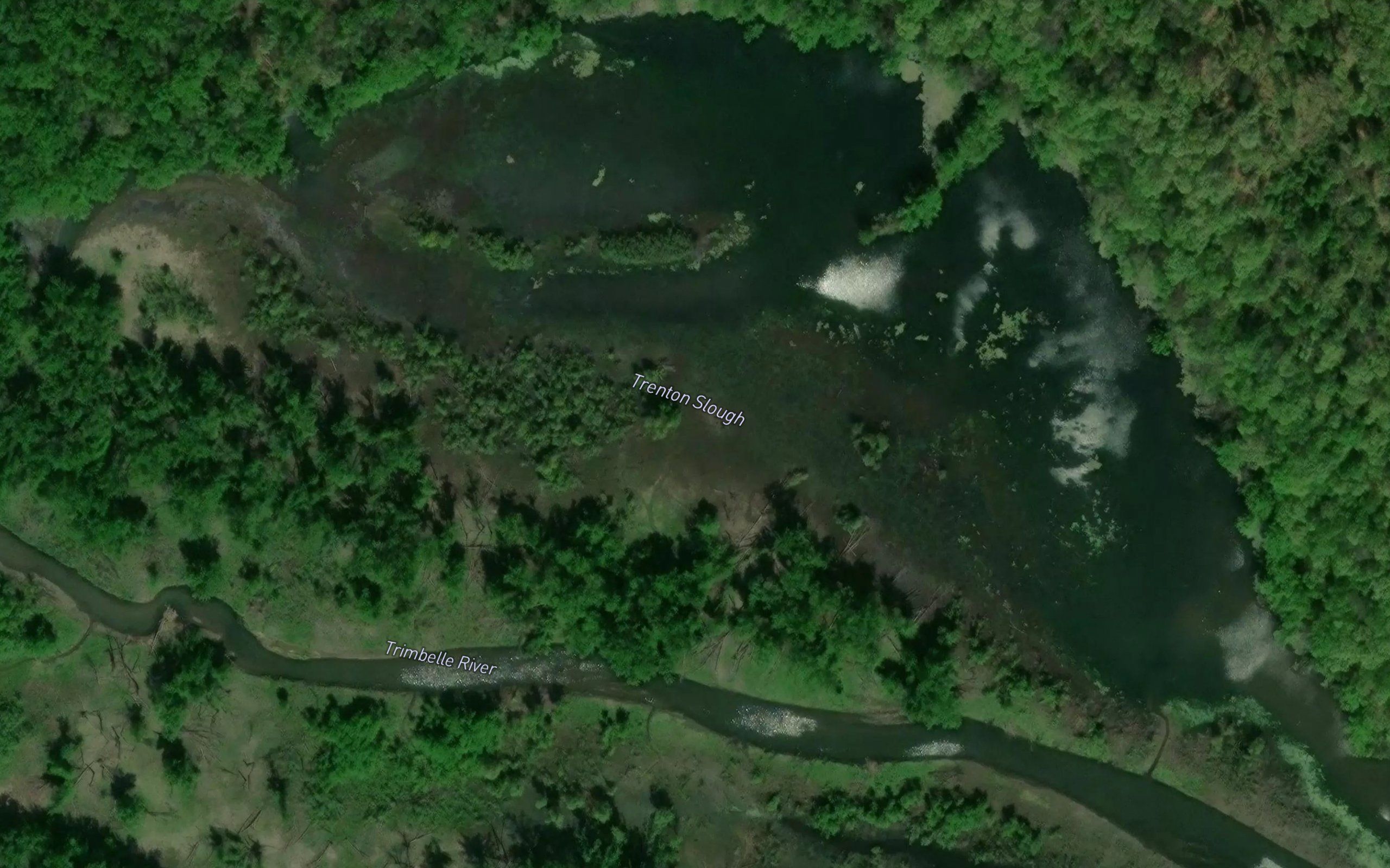 Trenton Slough