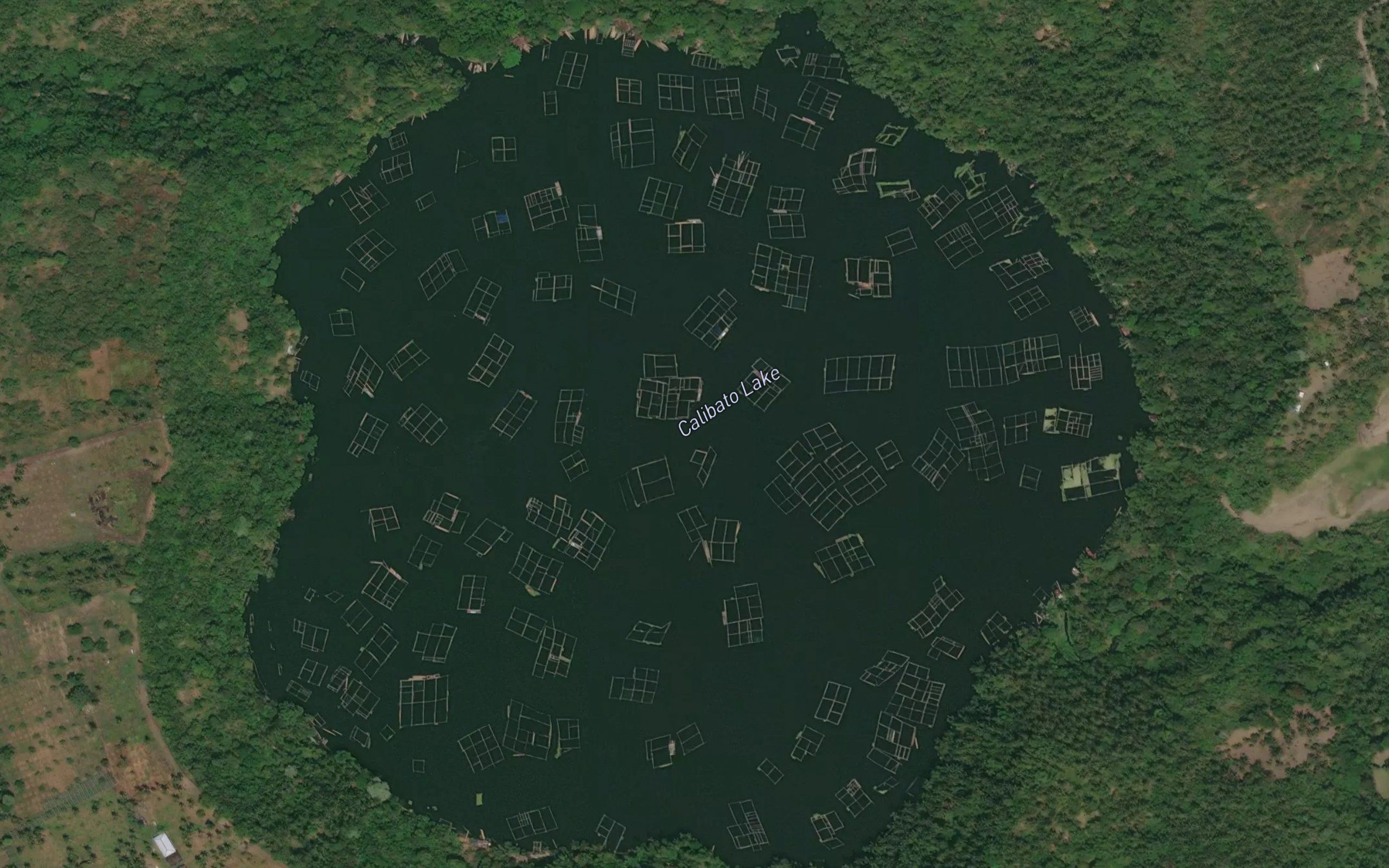 Lake Calibato