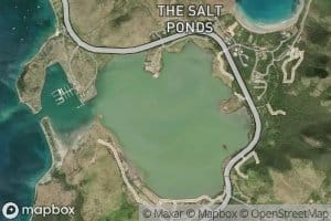 Great Salt Pond