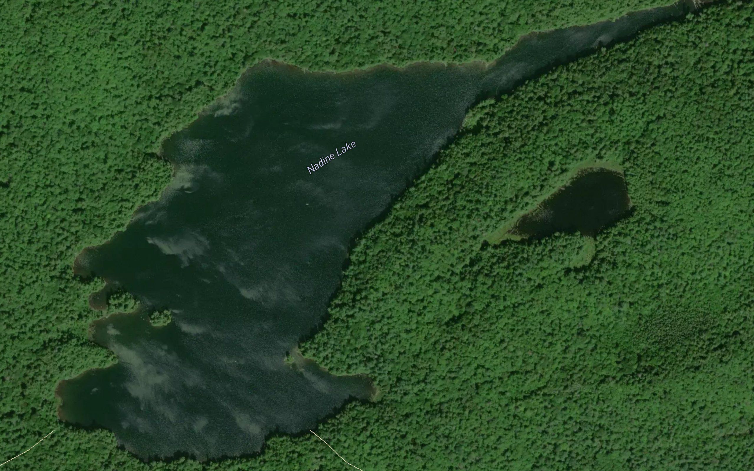 Nadine Lake