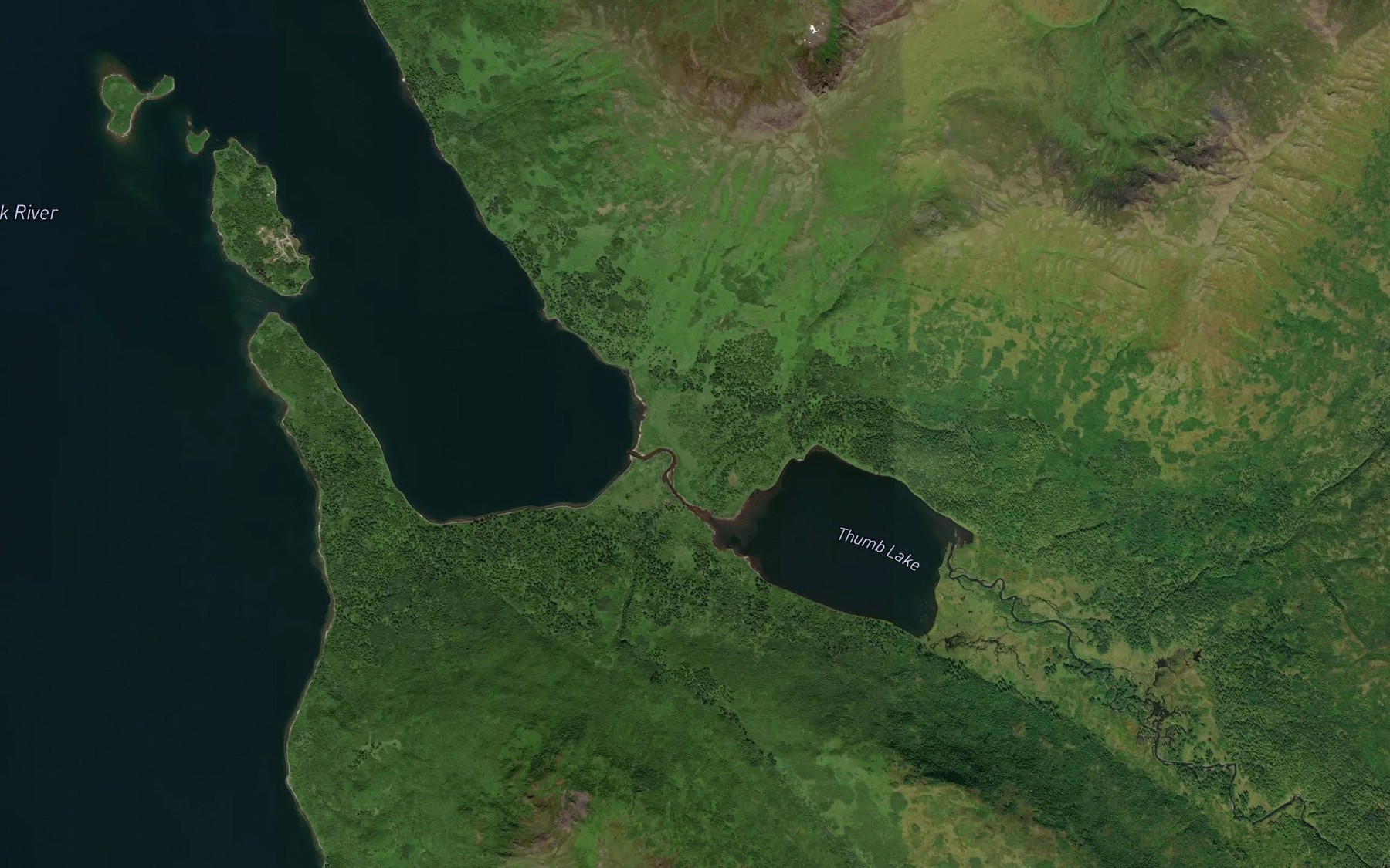 Satellite map of the Thumb River