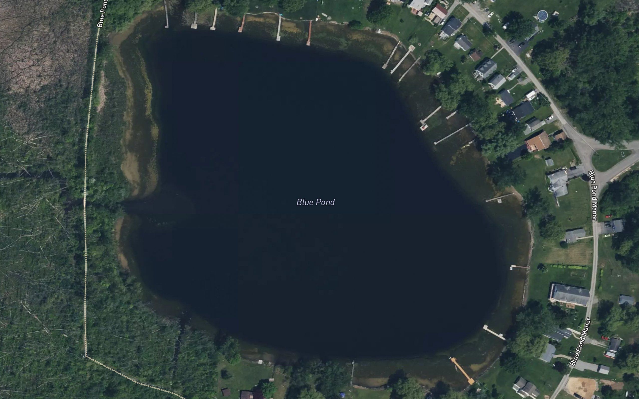 Blue Pond