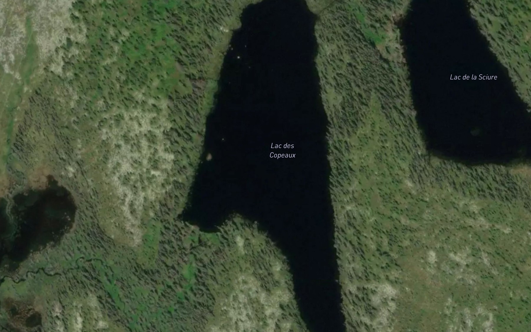 Satellite map of the Lac des Copeaux