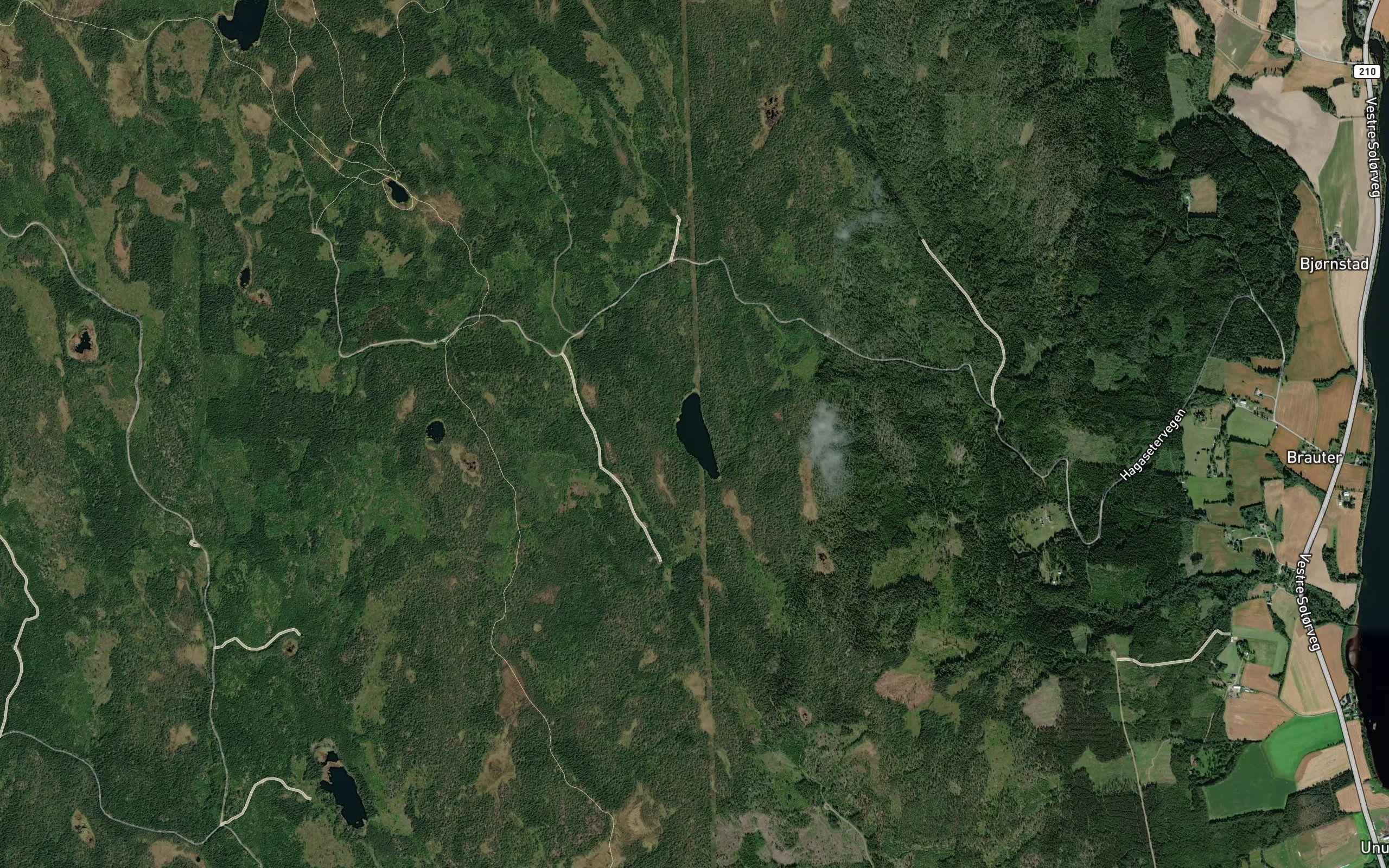 Gjeddetjernet