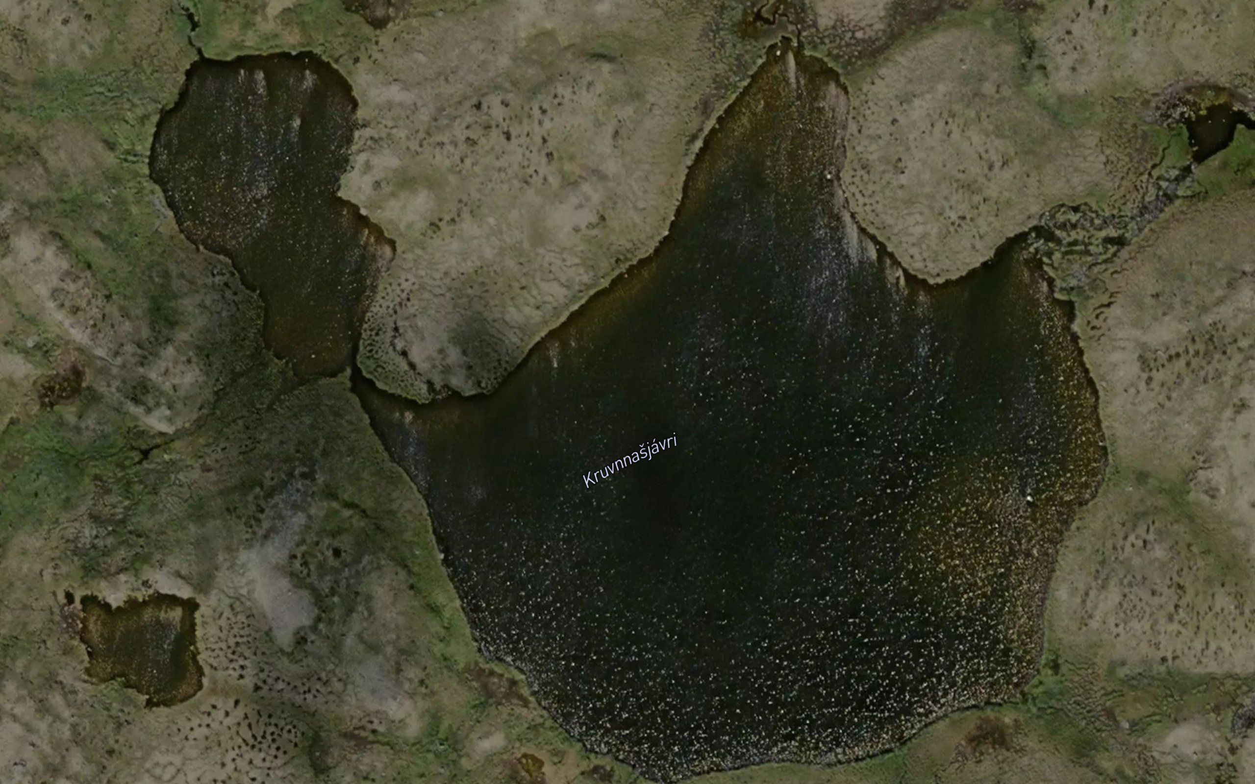 Kruvnasjavri